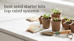 best seed starter kits top rated systems