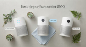 best air purifiers under $100