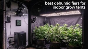 best dehumidifiers for indoor grow tents