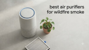 best air purifiers for wildfire smoke