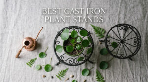 best cast iron plant stands