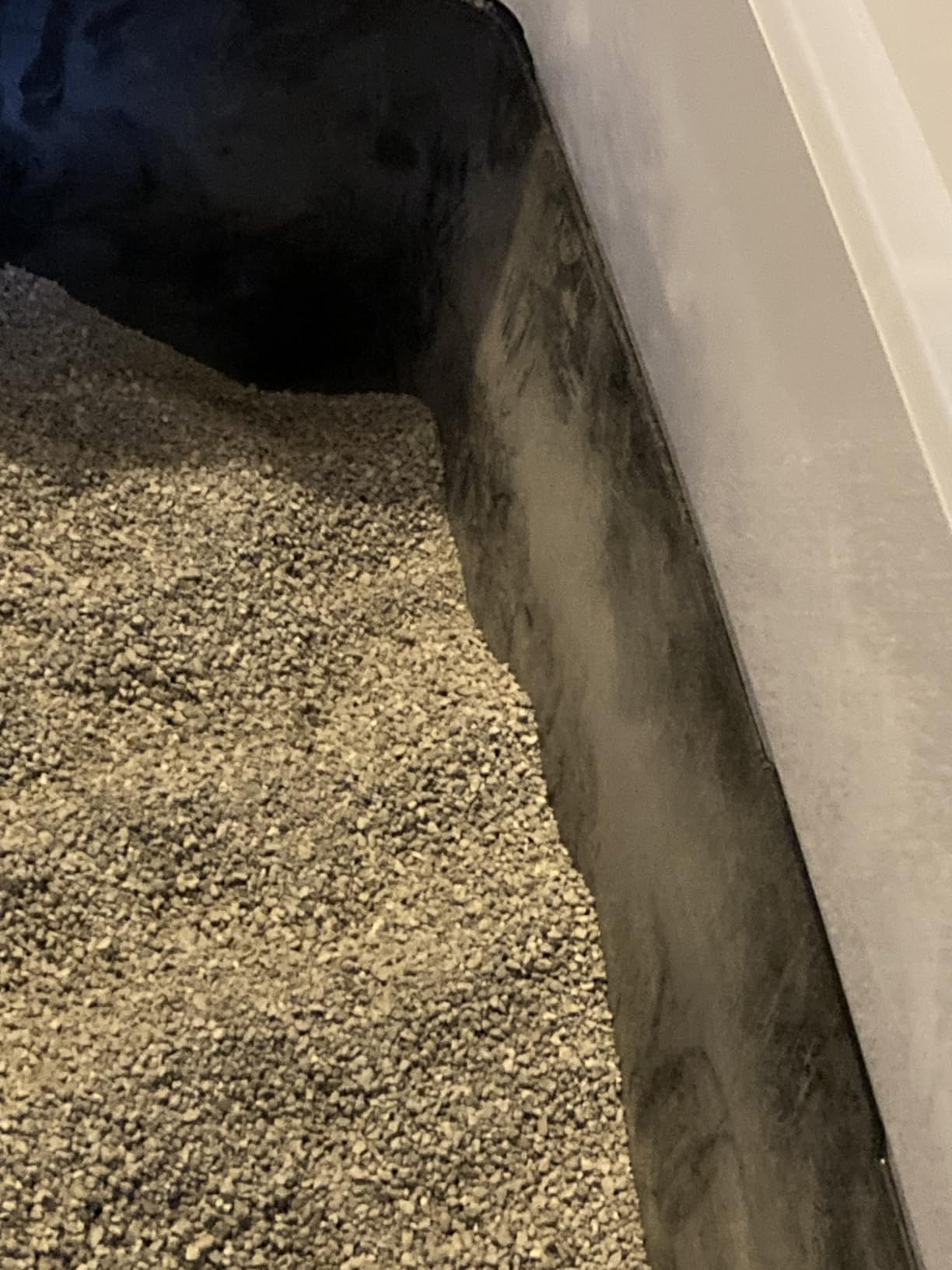 Dr. Elsey's Ultra Litter customer photo 1