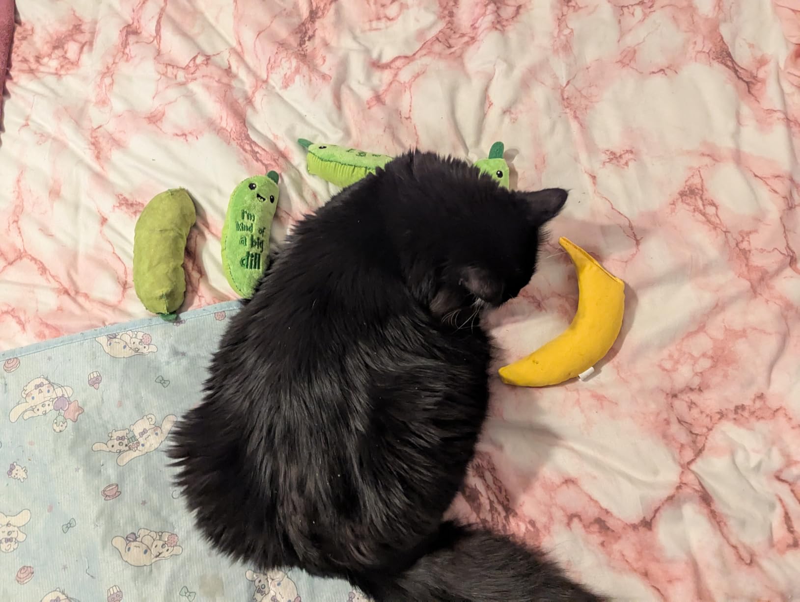 Yeowww! Chi-CAT-a Banana customer photo 2