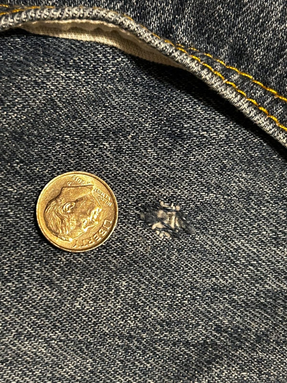 Levi's 501 Original Fit customer photo 2