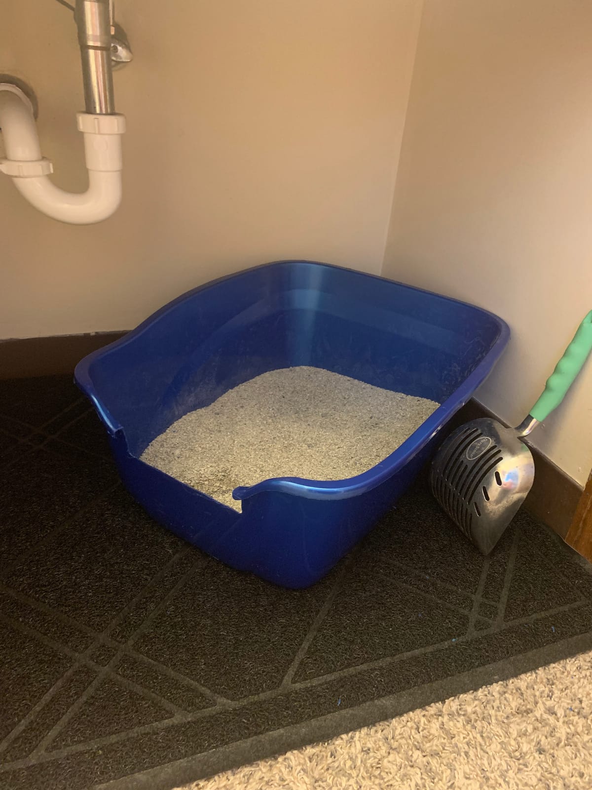 Pureness Giant High Sides Cat Litter Pan, Colors may Vary. customer photo 2