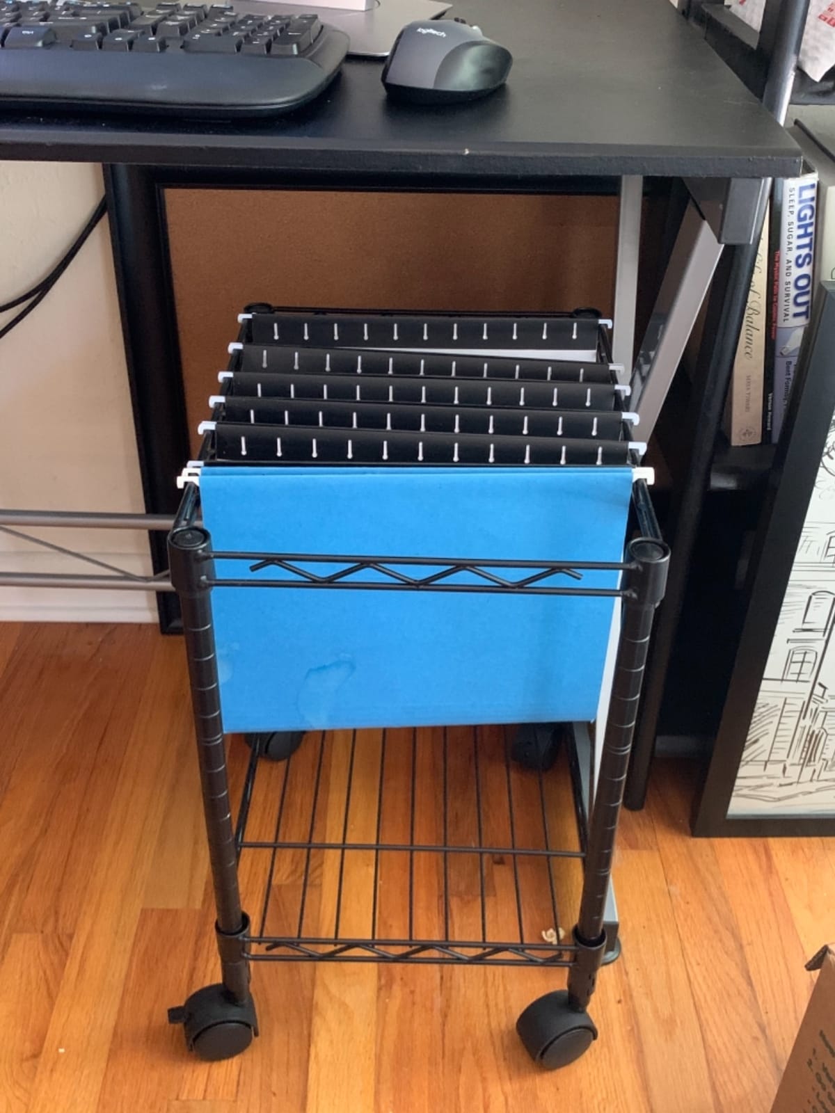 LYS Mobile Wire Filing Cart customer photo 1