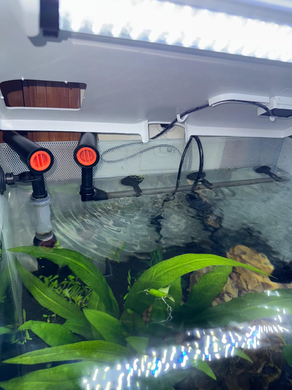 ZooMed Nano 30 External Canister Filter customer photo 1