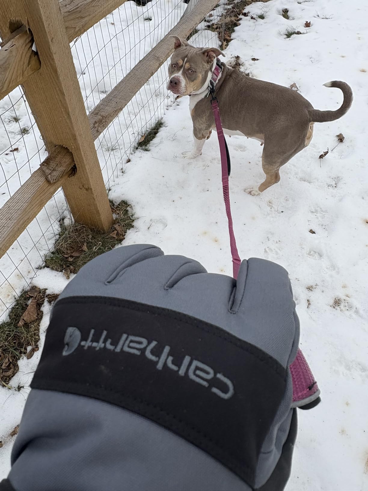 Carhartt Insulated Knit Glove customer photo 1