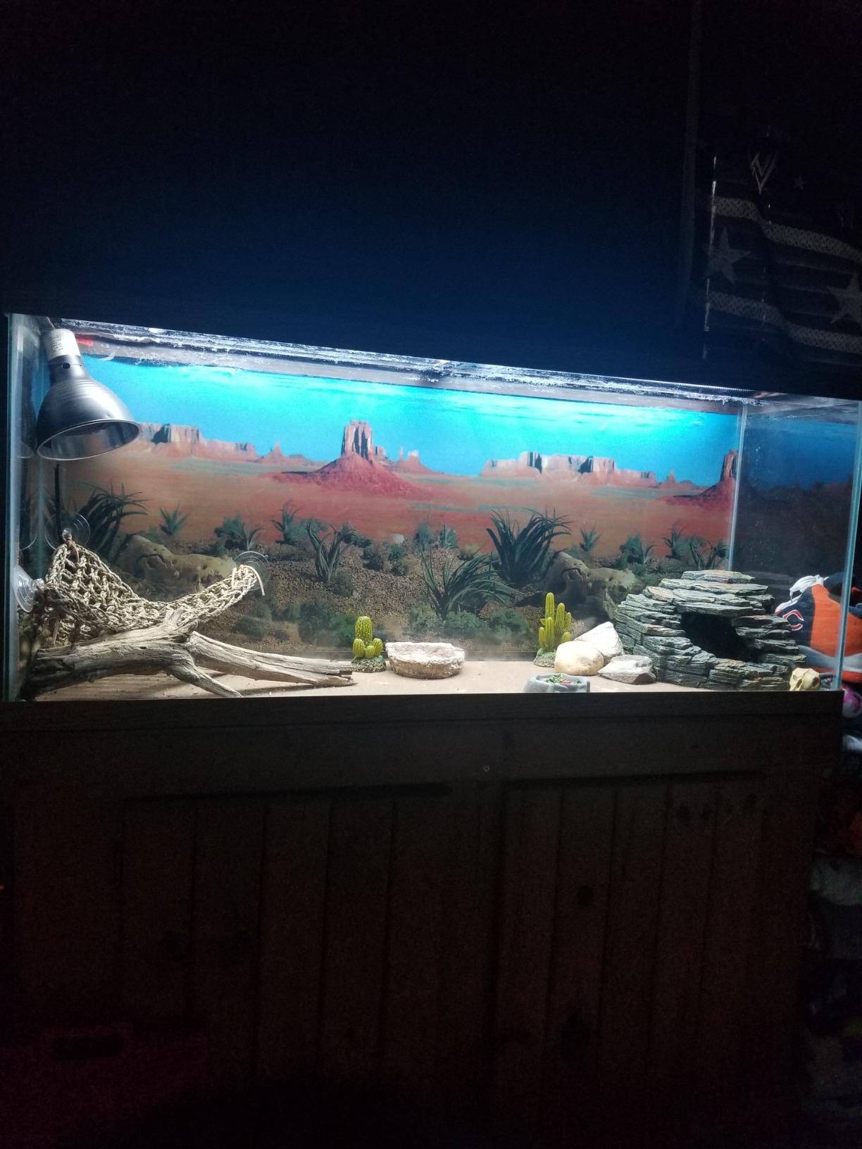 Zoo Med ReptiSun T5 HO Terrarium Hood (48