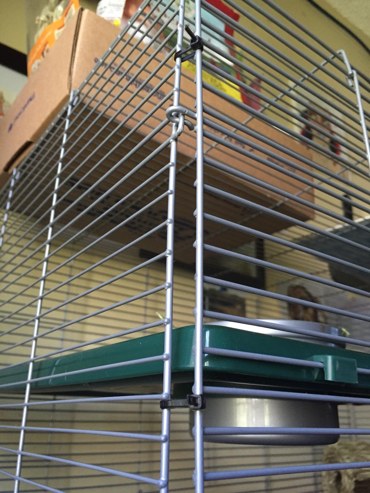 Kaytee My First Home Multi-Level Exotics Habitat for Pet Chinchillas, Rats, Degus, Sugar Gliders and Other Exotic Small Animals customer photo 1