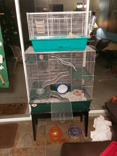 Kaytee My First Home Multi-Level Exotics Habitat for Pet Chinchillas, Rats, Degus, Sugar Gliders and Other Exotic Small Animals customer photo 2