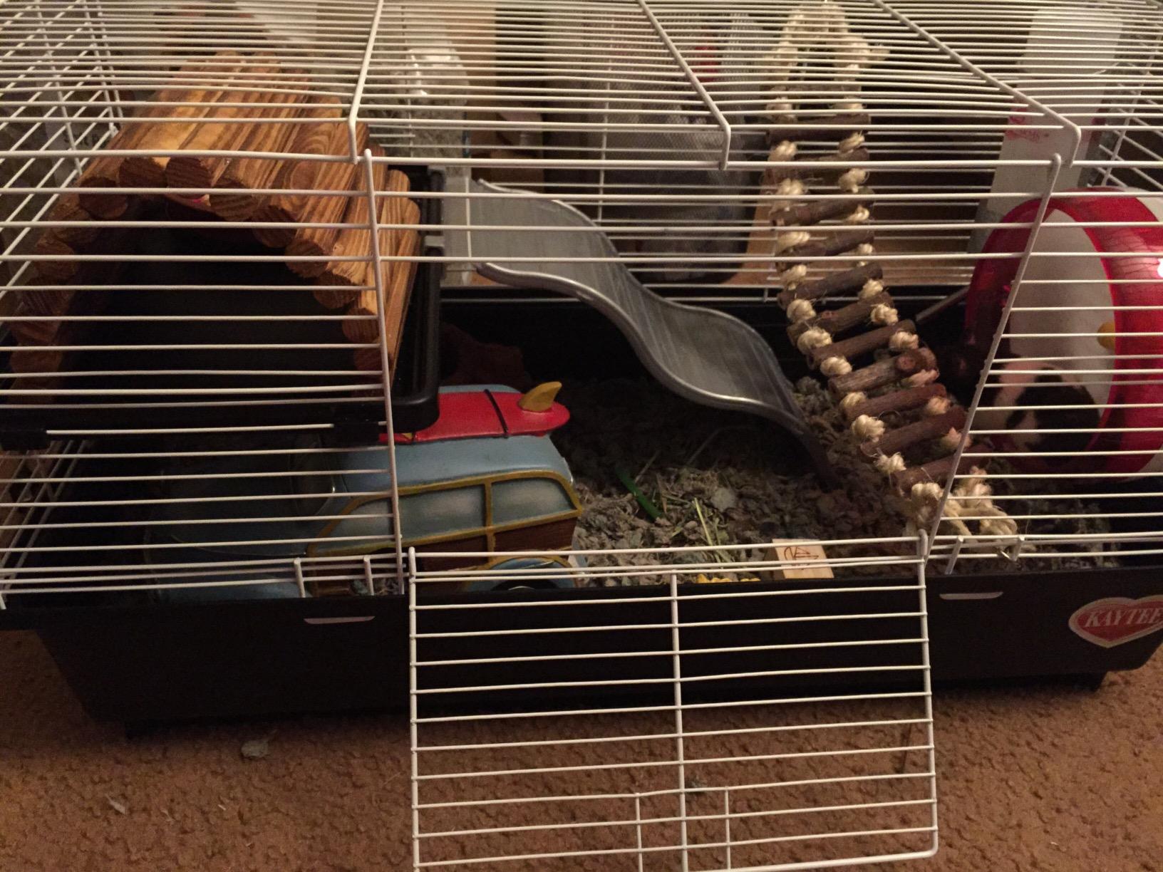 Kaytee My First Home Habitat for Pet Rats customer photo 2