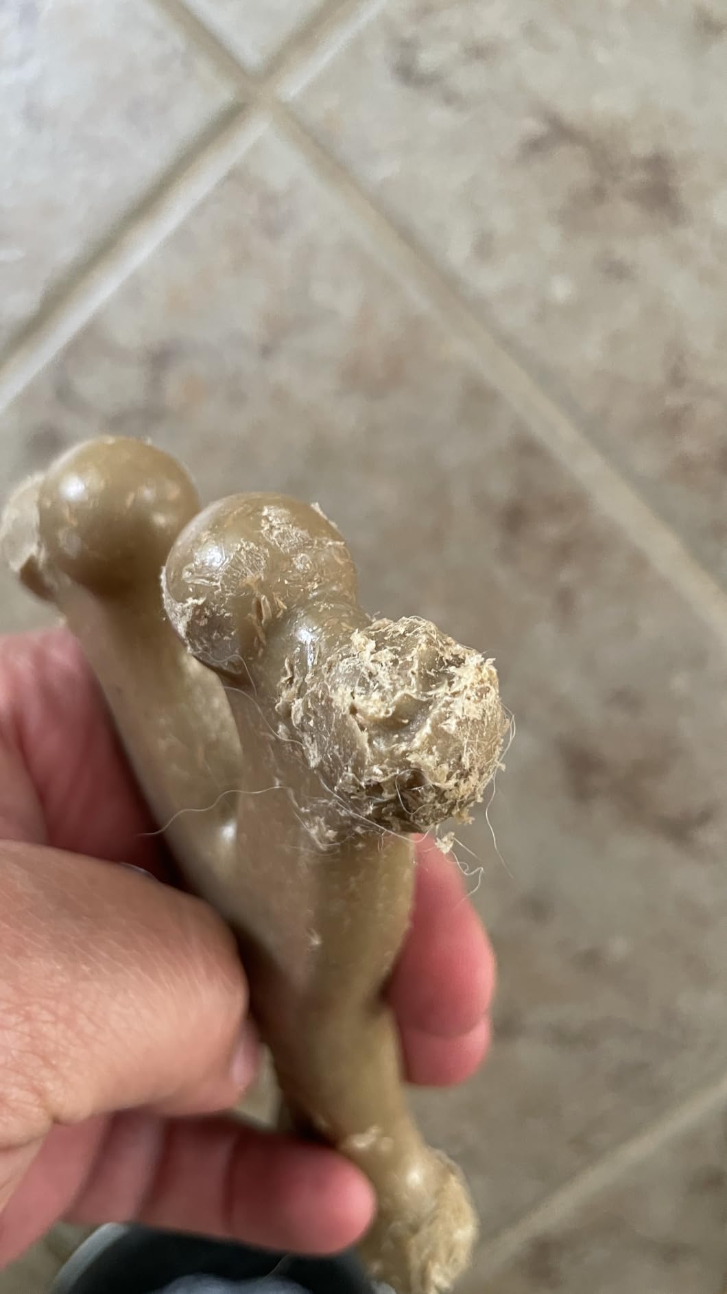 Benebone Wishbone customer photo 2