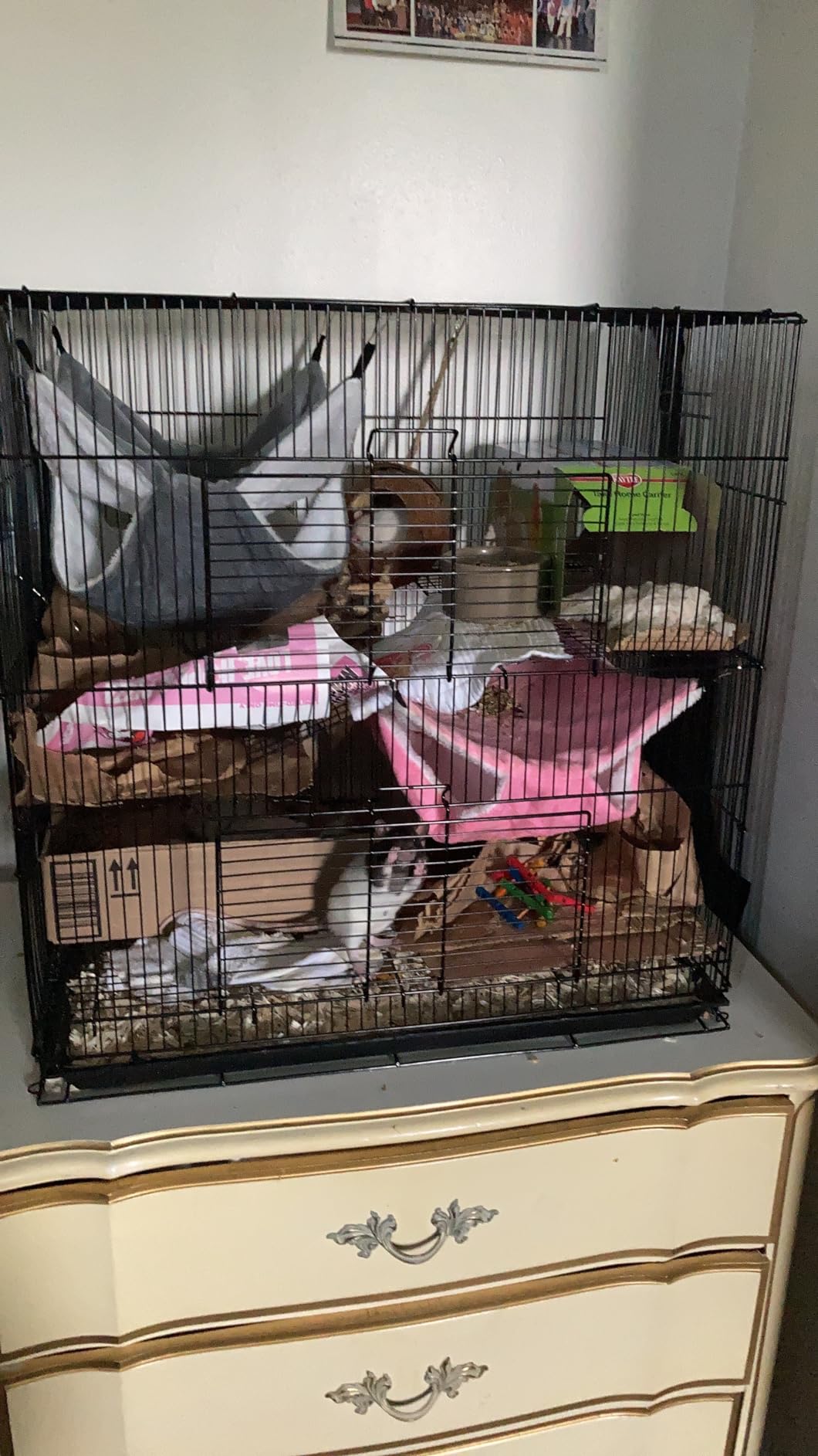 3-Levels Easy Portable Collapsible Ferret Chinchilla Sugar Glider Rats Mouse Animal Critter Bite-Proof Metal Carrier Travel Cage with Narrow 3/8-Inch Bar Spacing Easy to Setup No Tools Needed customer photo 2