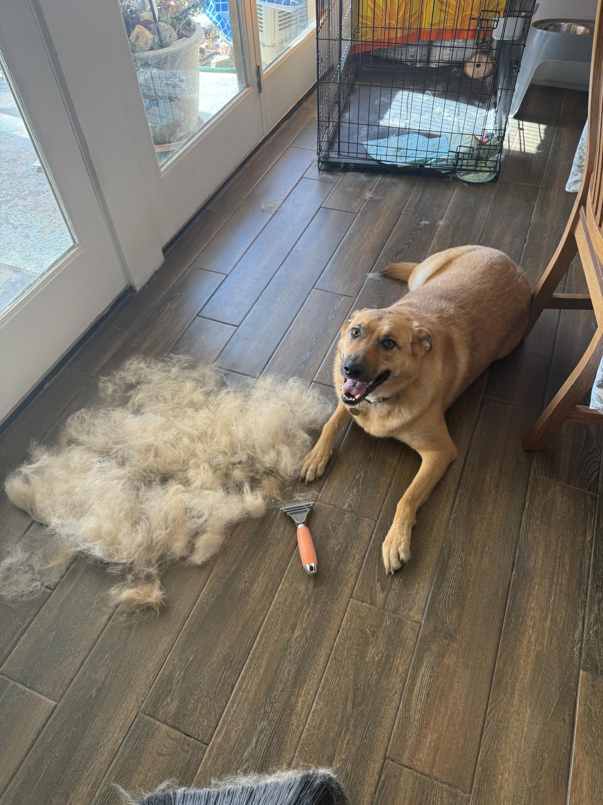GoPets 2-in-1 Deshedding & Dematting Comb & Grooming Brush for Dogs & Cats customer photo 1