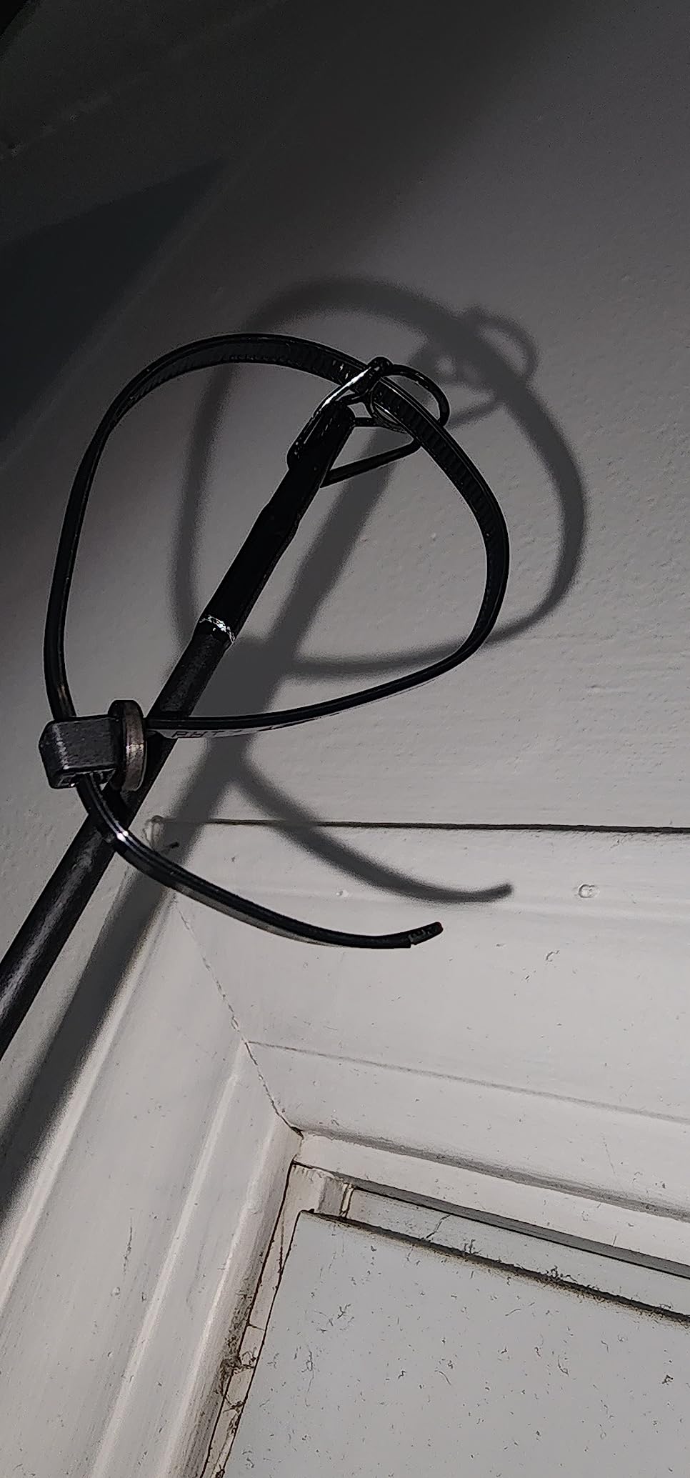 Abu Garcia Ambassadeur 7000 Baitcast Combo customer photo 1