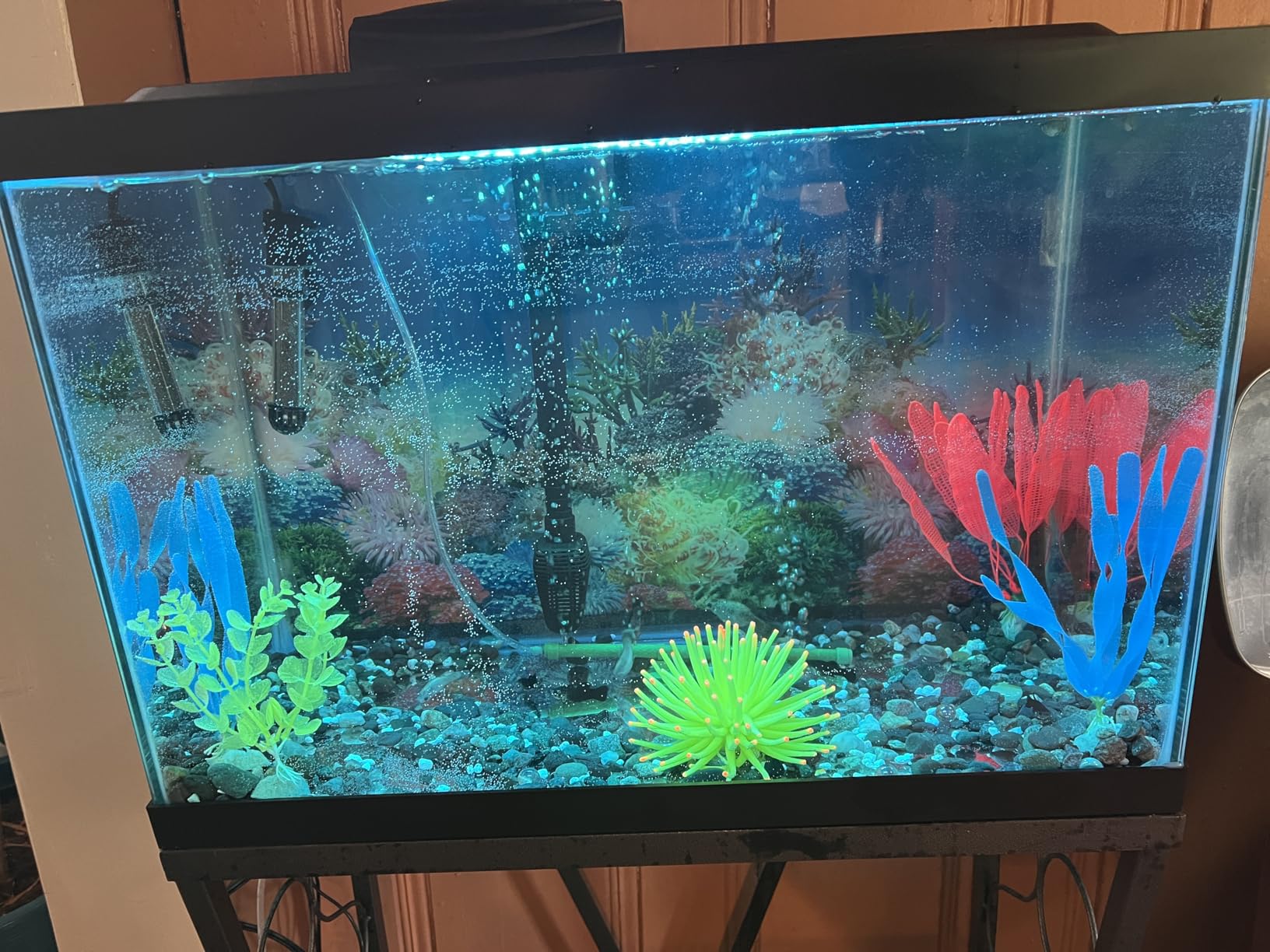 Tetra Color Complete 20 Gallon Fish Tank Kit for Freshwater, Saltwater Fish customer photo 1
