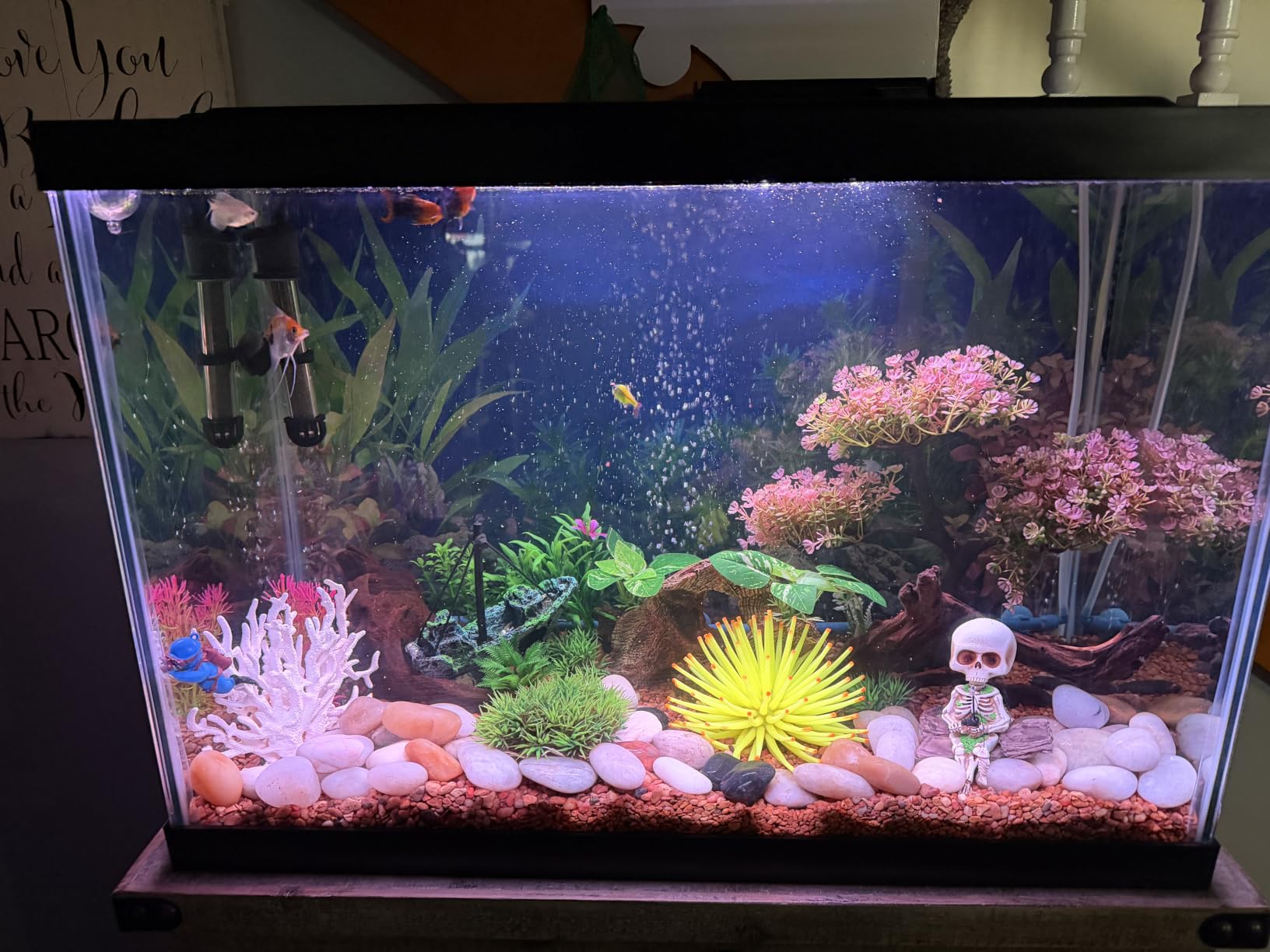 Tetra Color Complete 20 Gallon Fish Tank Kit for Freshwater, Saltwater Fish customer photo 2