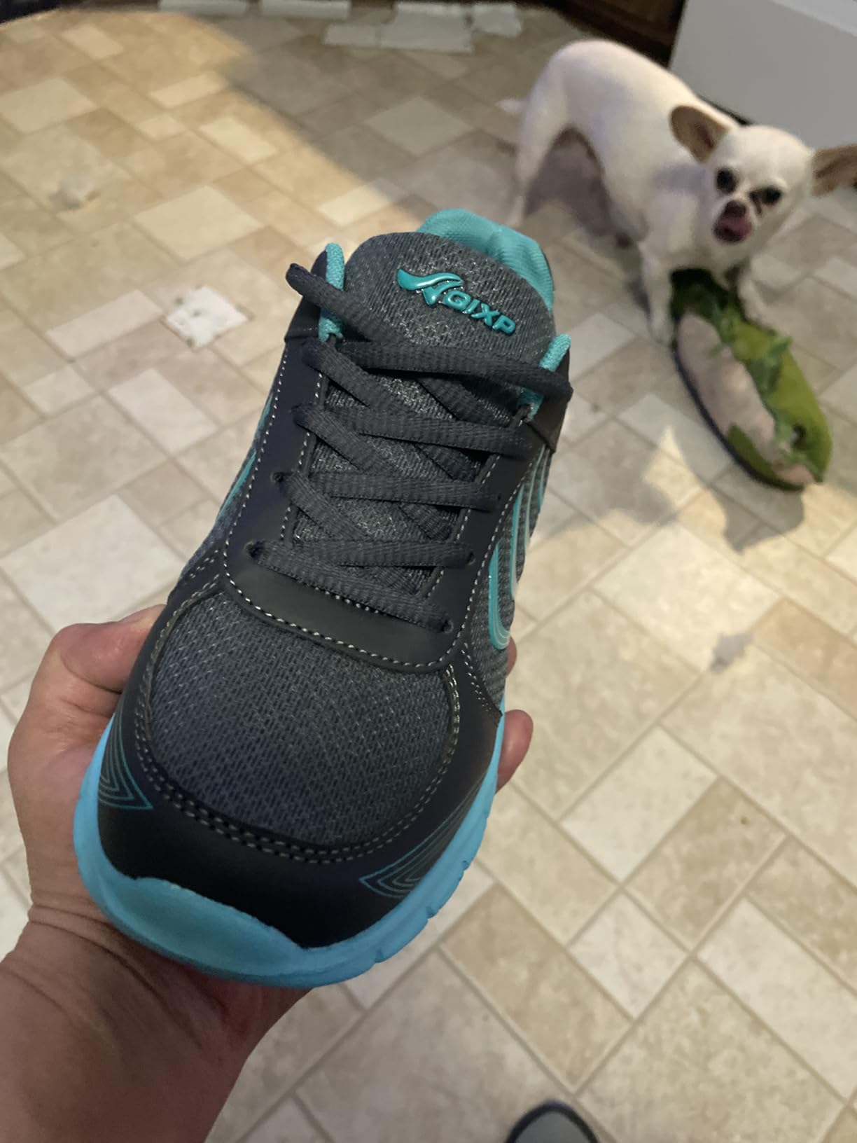 DUOYANGJIASHA Mesh Walkers customer photo 1