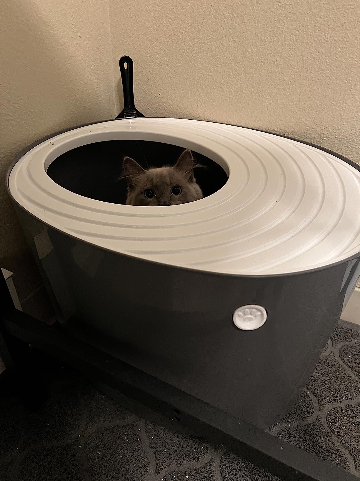 IRIS USA Large Top Entry Cat Litter Box, Hooded Privacy, Beige/White customer photo 2