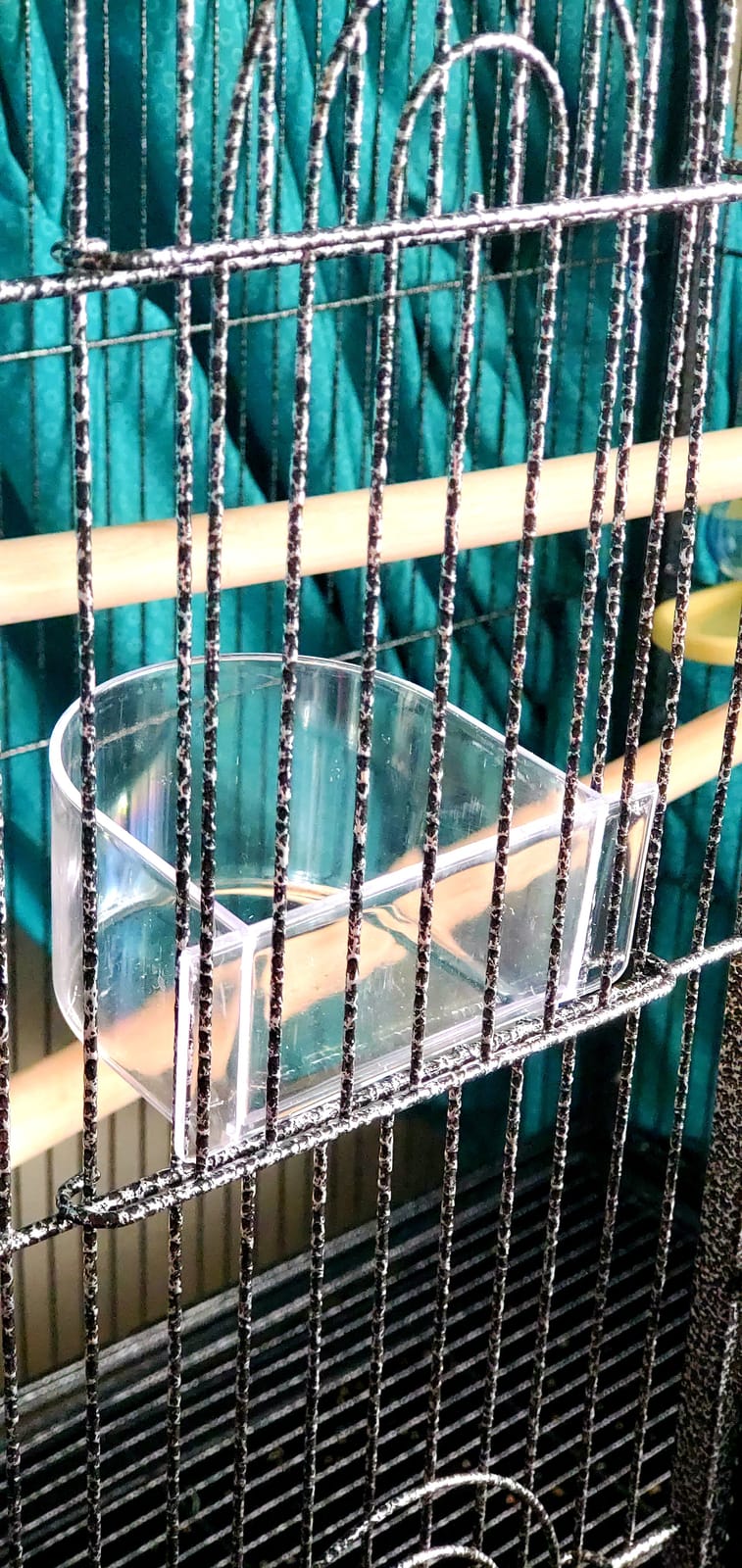 ZENY 53-Inch Parakeet Bird Cage, Wrought Iron Large Parrot Flight Birdcage customer photo 1