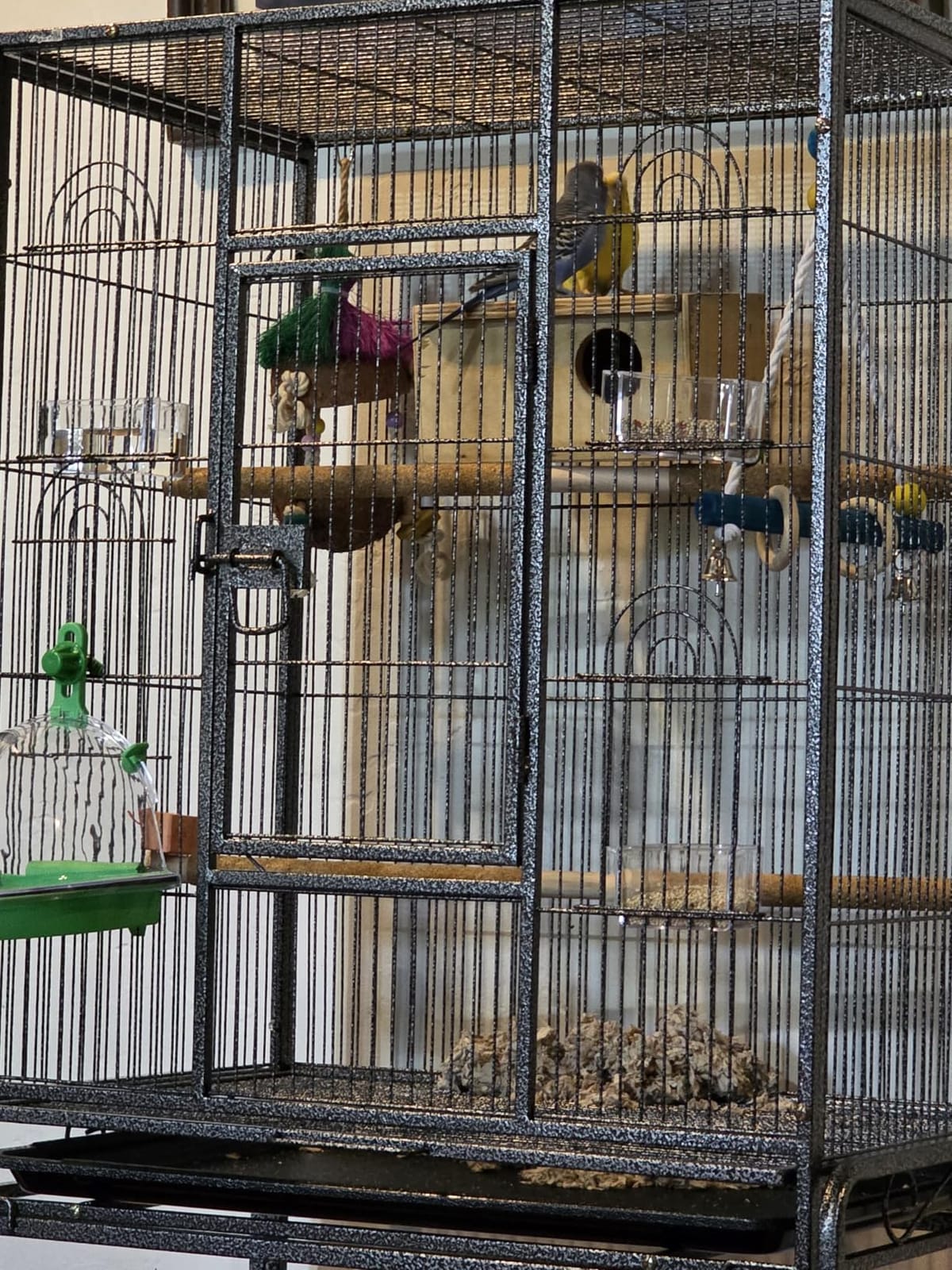 ZENY 53-Inch Parakeet Bird Cage, Wrought Iron Large Parrot Flight Birdcage customer photo 2