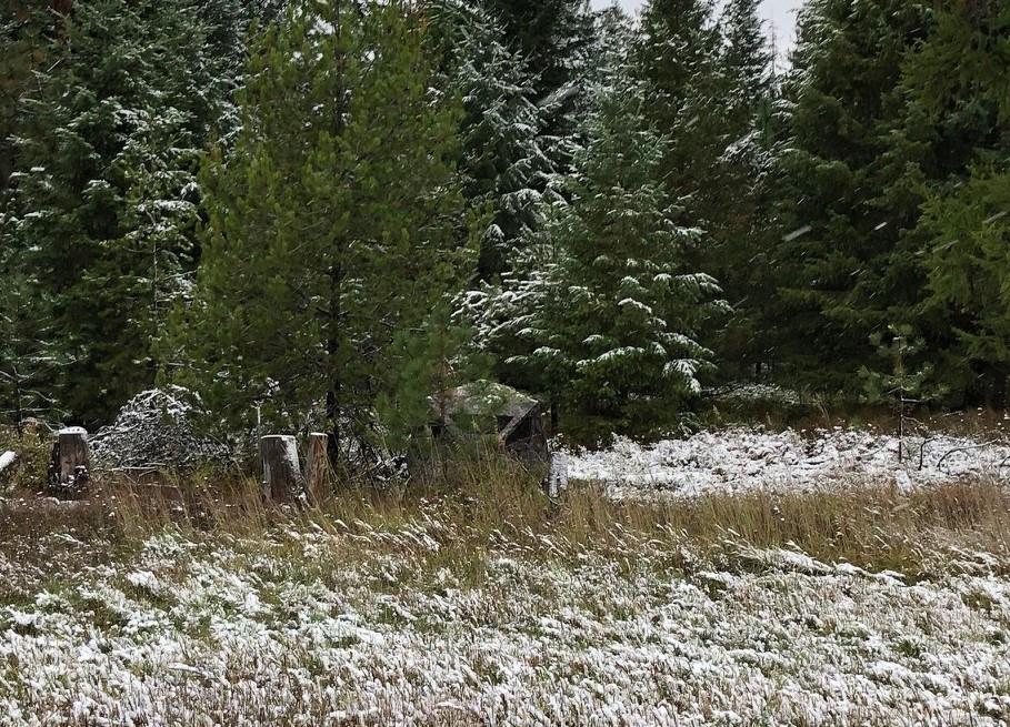 Ameristep Caretaker Hunting Blind customer photo 2