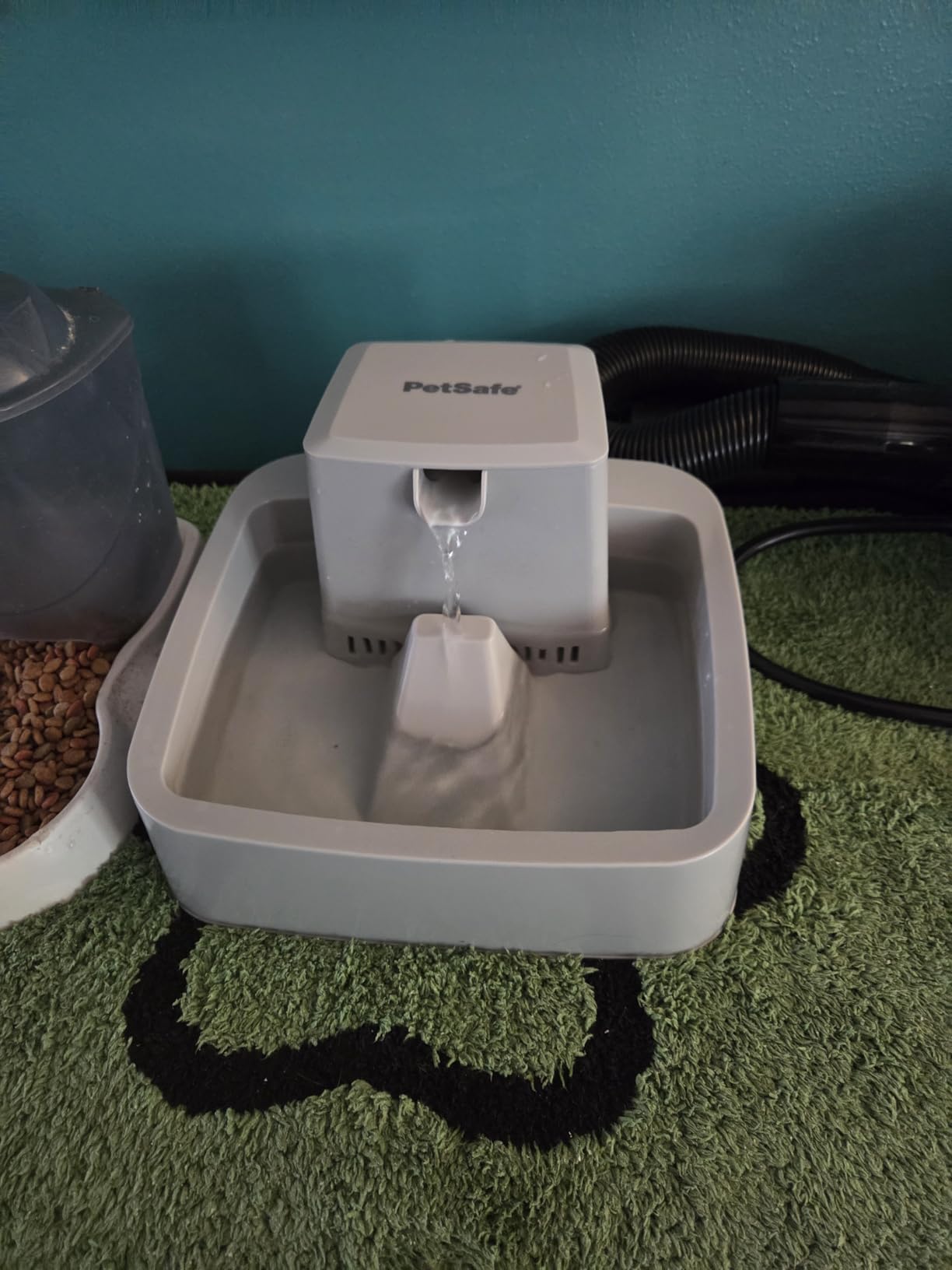 PetSafe Oasys Pet Fountain, 2 Gallon (256 oz), Cats, Dogs & Multi-Pet Homes customer photo 2