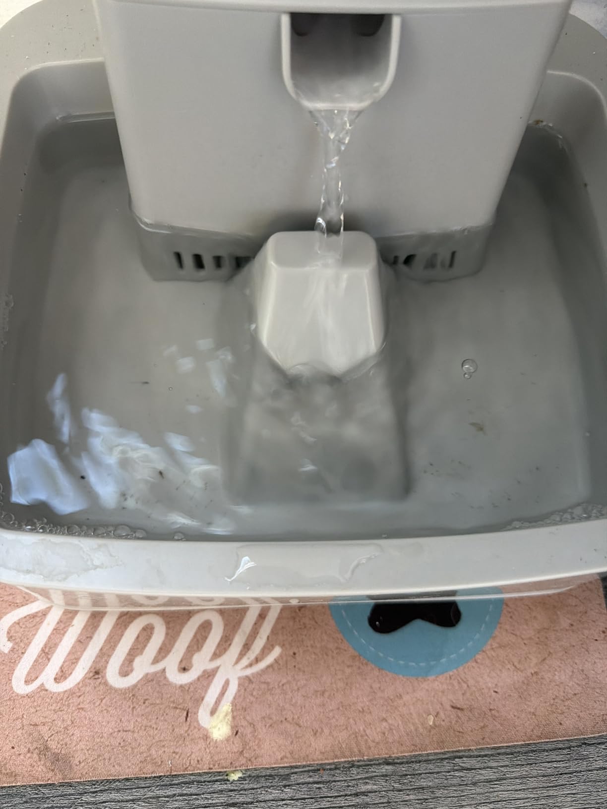 PetSafe Oasys Pet Fountain, 1/2 Gallon (64 oz), Small Dogs & Cats customer photo 2