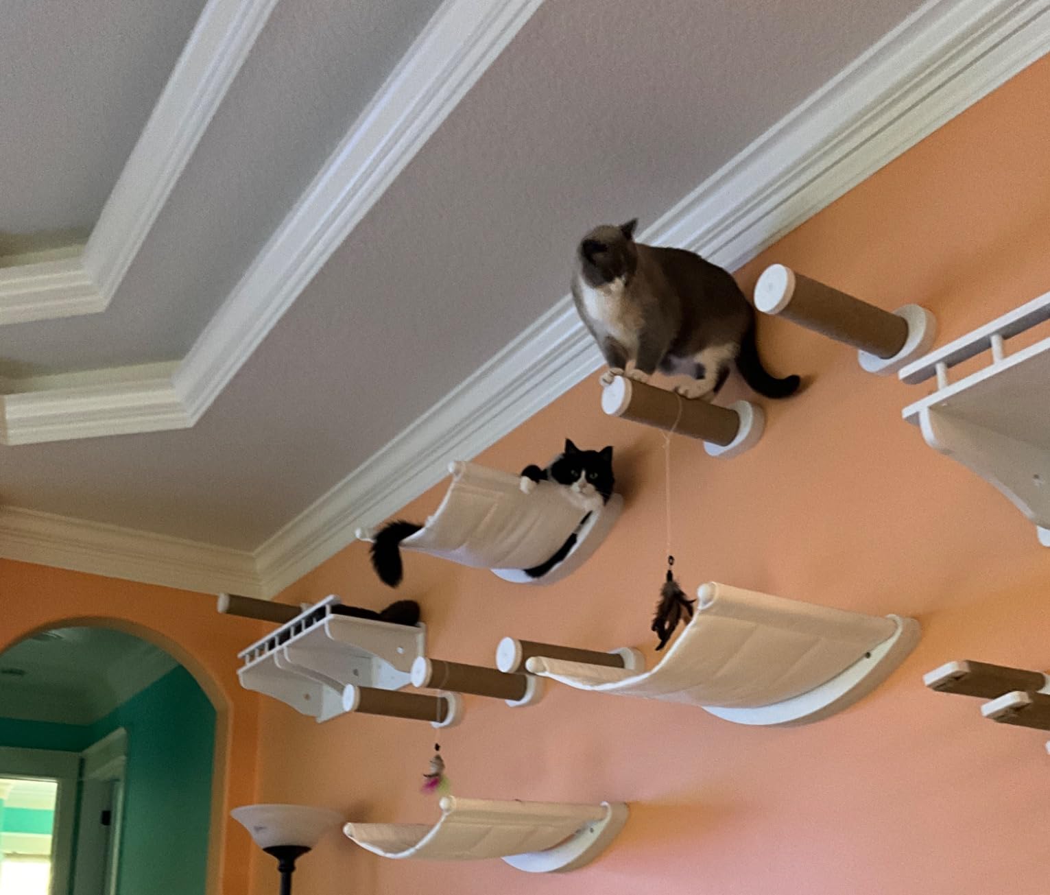 7 Ruby Road Cat Wall Hammock with 2 Steps for Large Cats customer photo 2