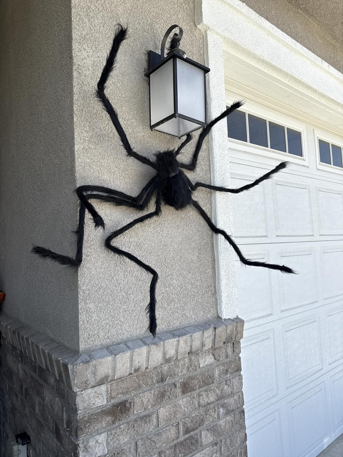 JOYIN Giant Hairy Spiders customer photo 1