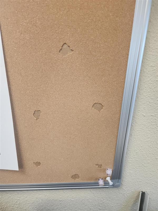 Bulletin Board 36 x 48, Silver Aluminium Framed 4x3 Large Wall Mounted Cork Office Notice Pin Board customer photo 2