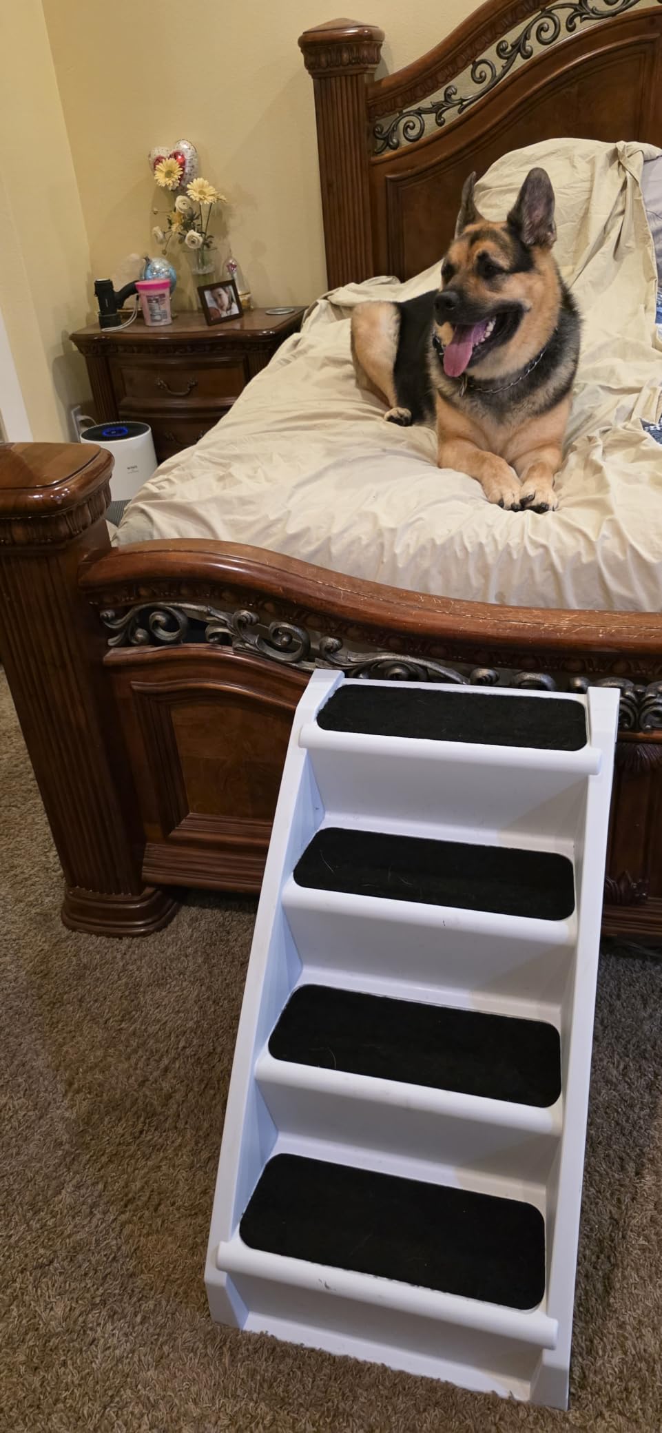 PetSafe CozyUp Folding Dog Stairs, Portable Indoor/Outdoor Pet Steps for Bed, Couch & Car, Grey, 25 Inch customer photo 1