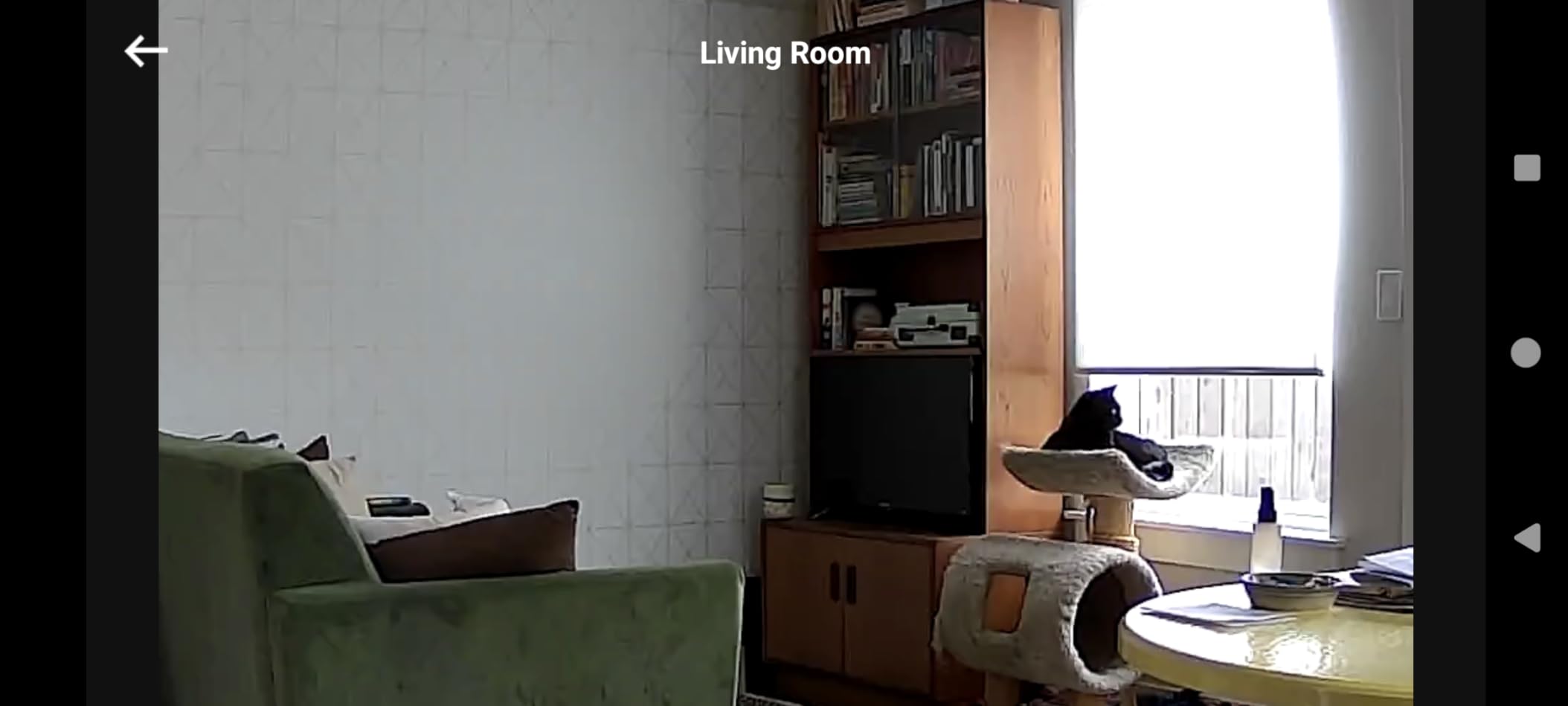 eufy Indoor Cam E220 customer photo 1