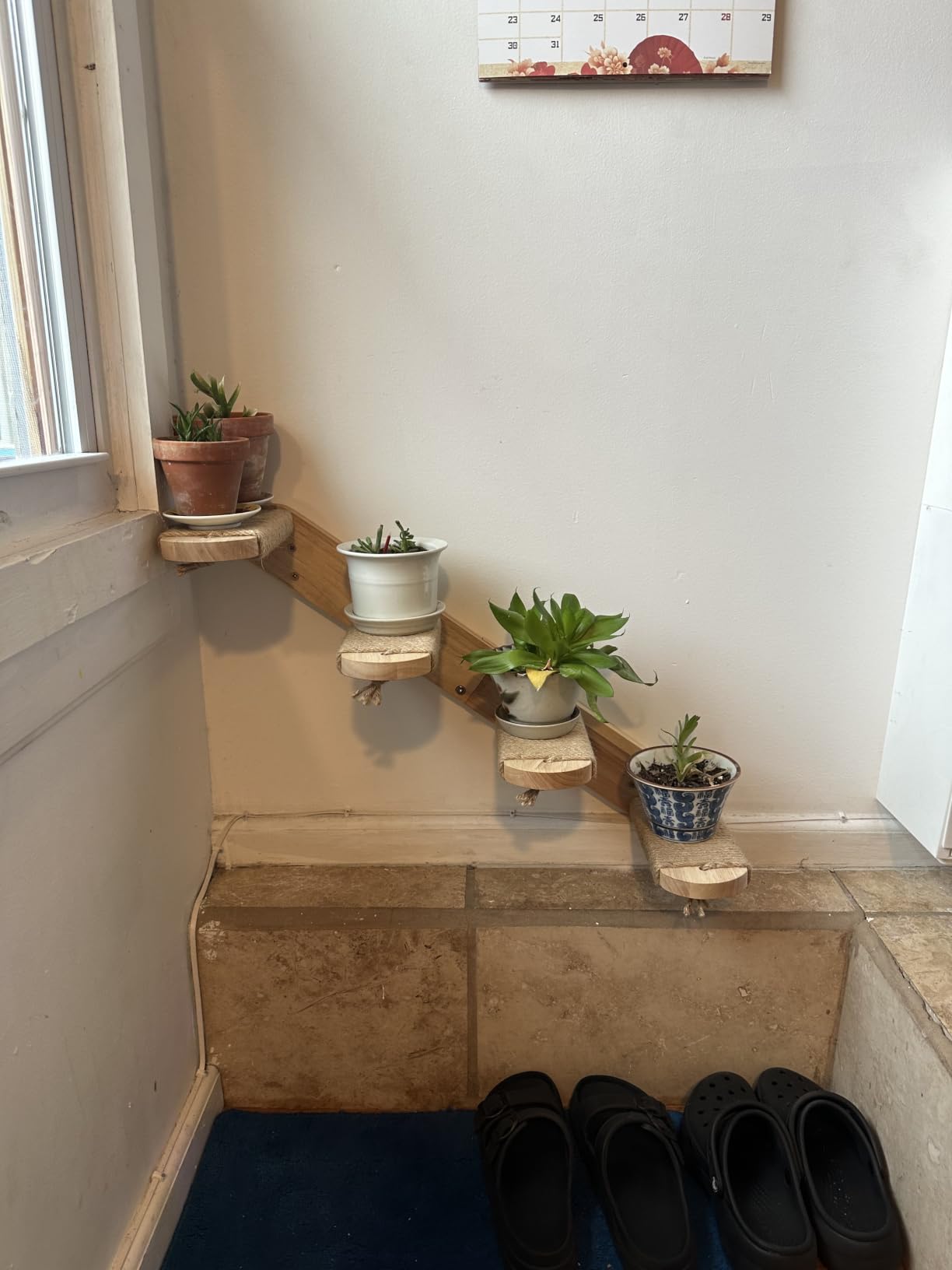 FUKUMARU Cat Climbing Shelf Wall Mounted, Small customer photo 1