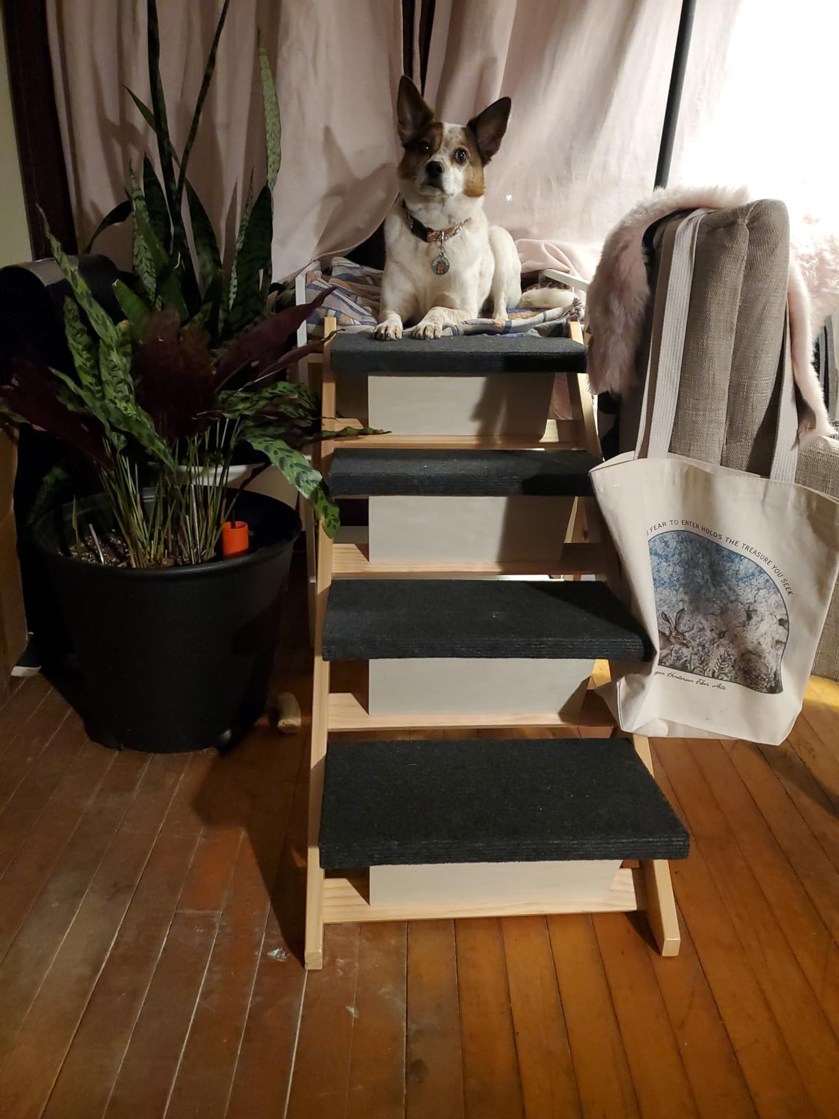 MEWANG Wood Pet Stairs, 4-Step Dog Stairs for Beds, Couches & Cars, 25