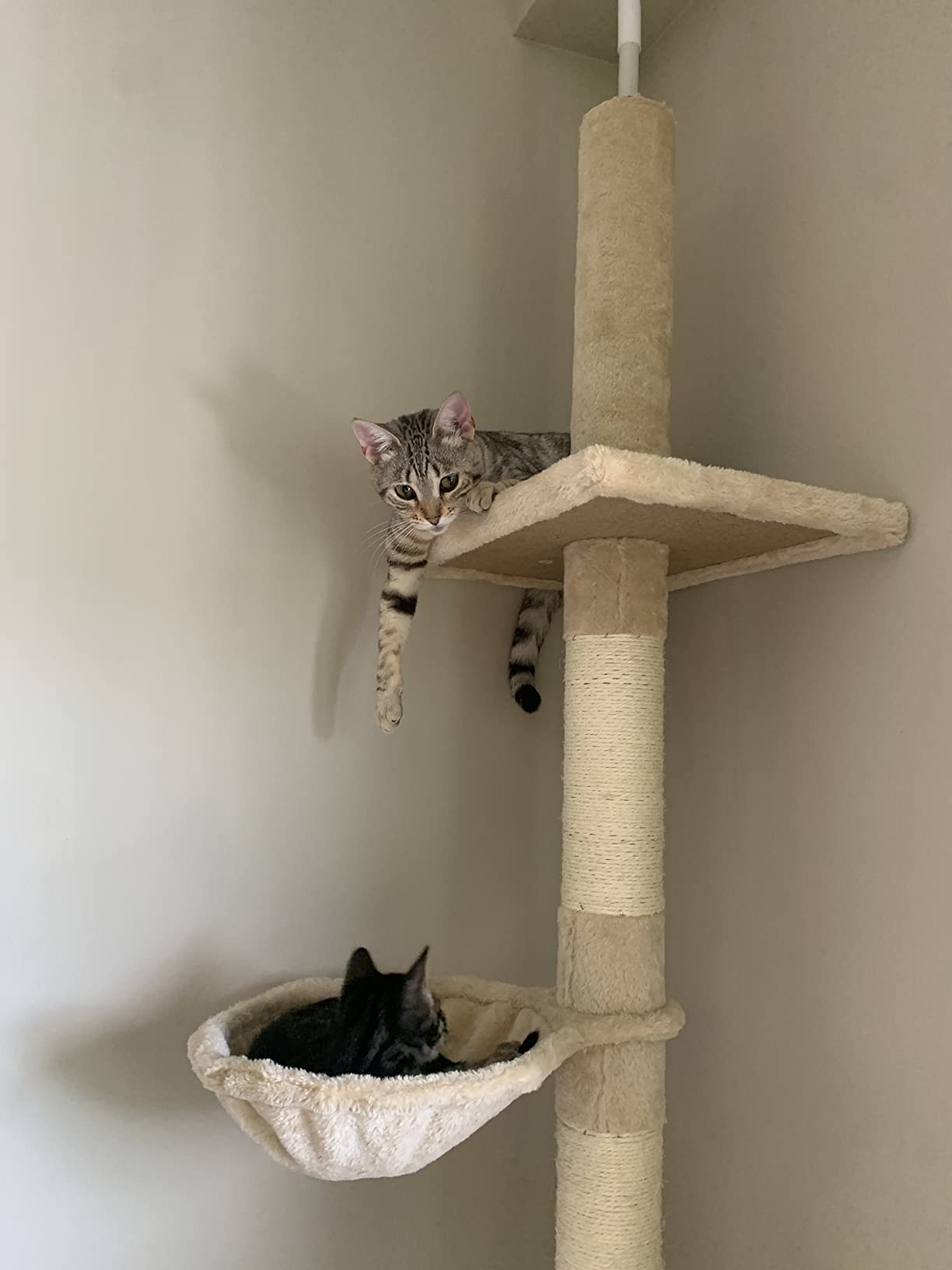 PawHut 102