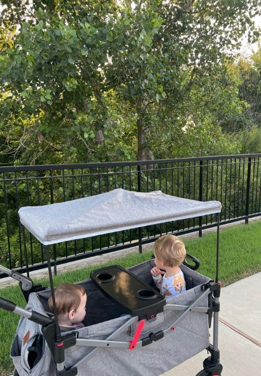 EVER ADVANCED Foldable Wagons for Two Kids & Cargo, Collapsible Folding Stroller with Adjustable Handle Bar,Removable Canopy with 5-Point Harness Gray customer photo 2