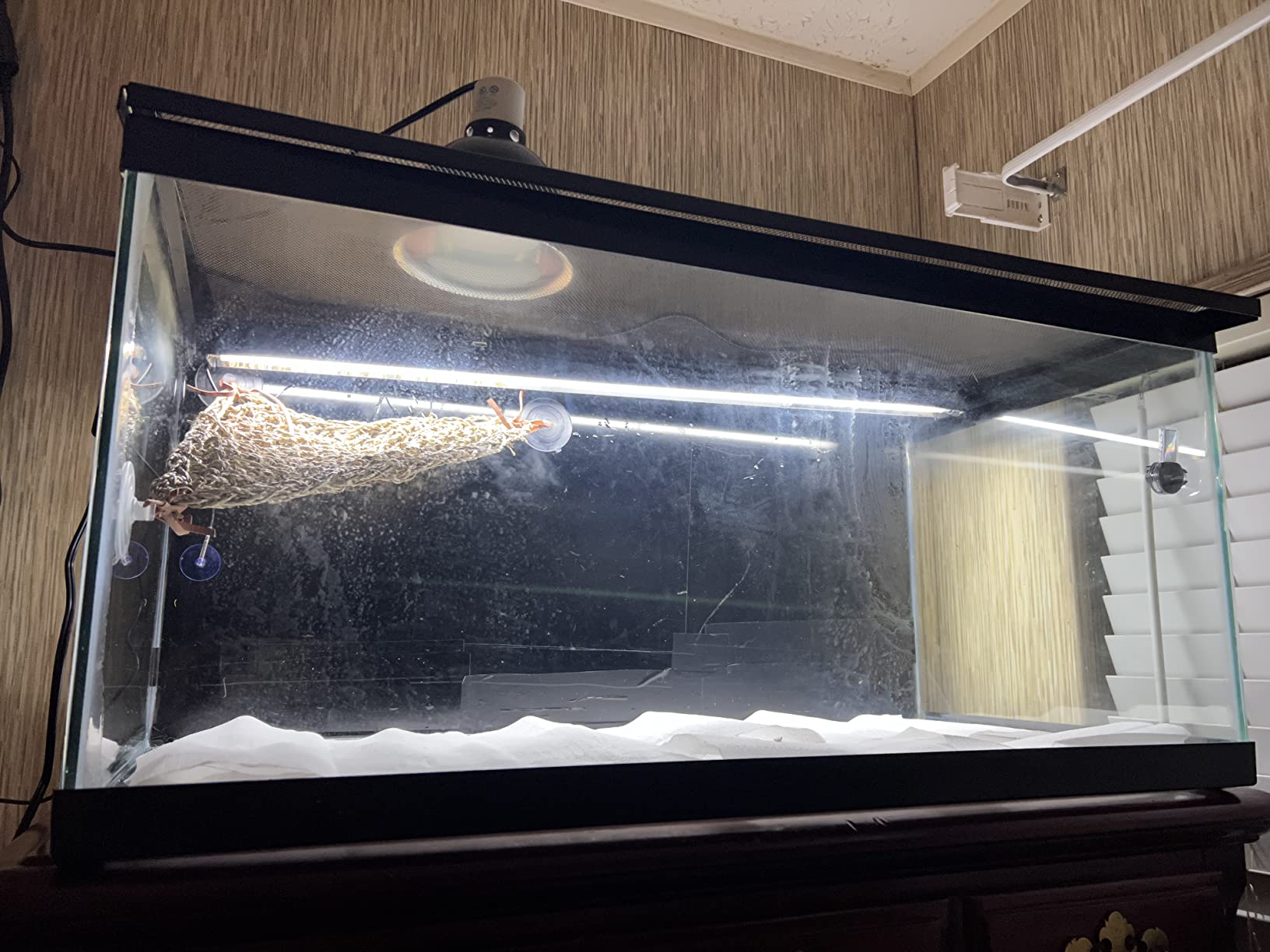REPTI ZOO T5 HO UVB Lighting Combo Kit, Terrarium Hood Comes with Desert 10.0 UVB T5 Lamp (39W) customer photo 2