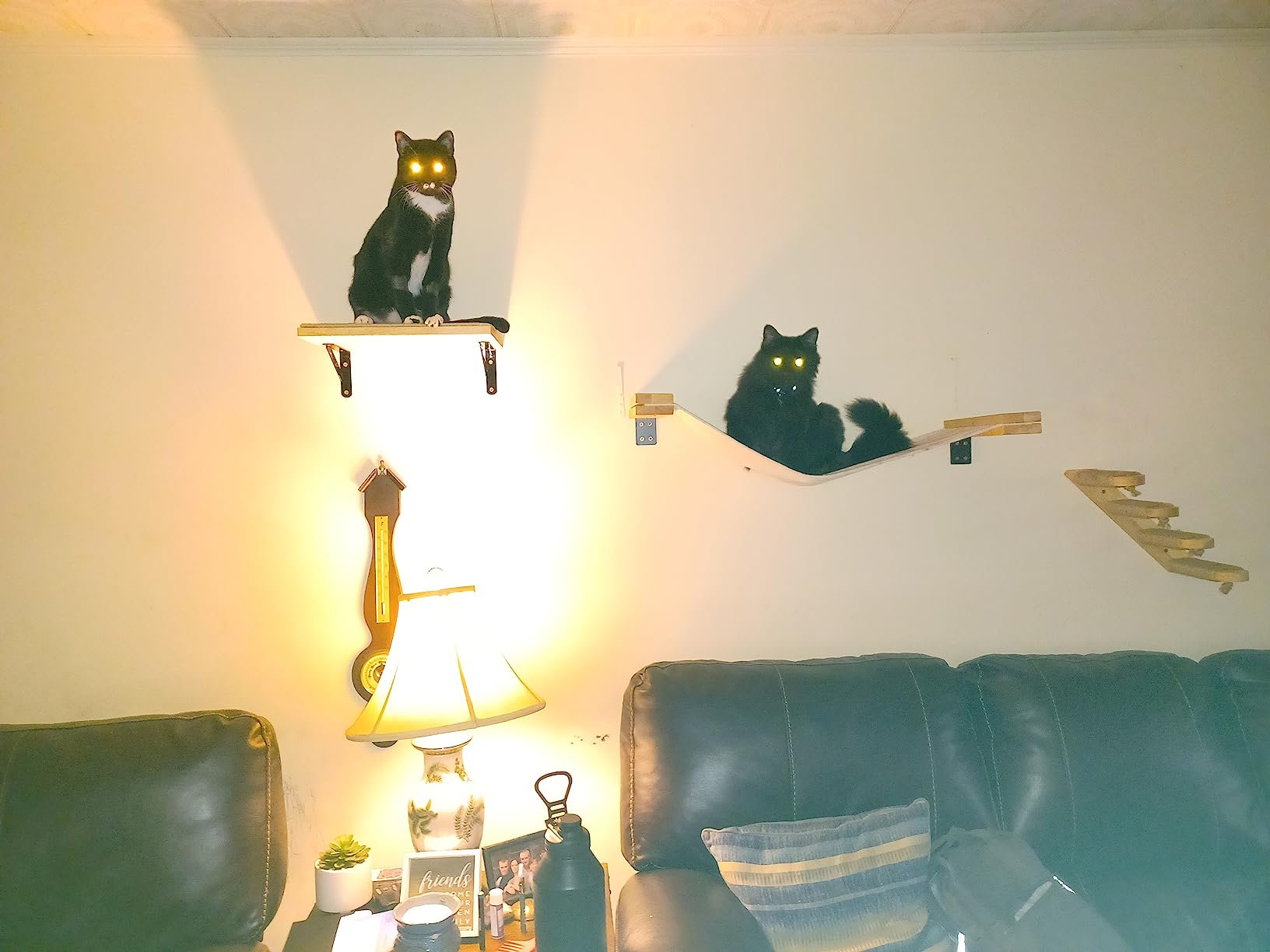 FUKUMARU Cat Wall Shelves, 17 x 10 Inch, Sisal Mat customer photo 2