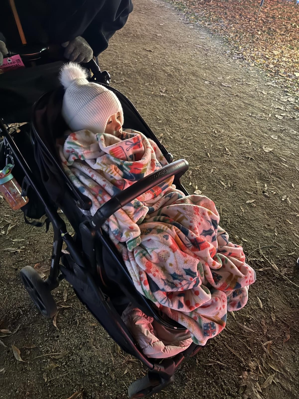 Mompush Wiz customer photo 2