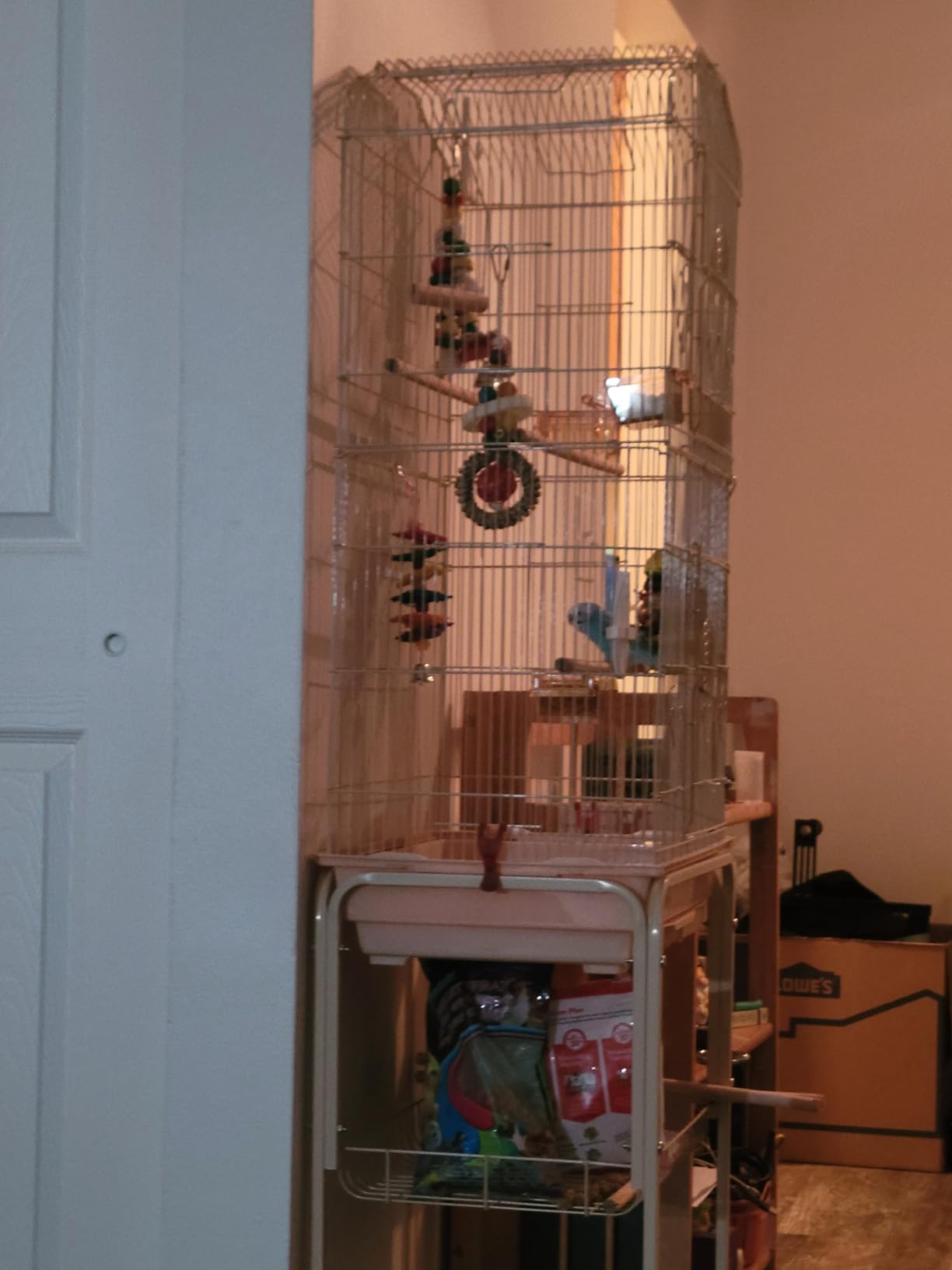 BestPet 64 inch Wrought Iron Bird Cage for Parakeets Medium Small Parrots Parakeet Cage with Detachable Rolling Stand & Play Open Top for Cockatiels Lovebird Finches Canaries (Black) customer photo 1