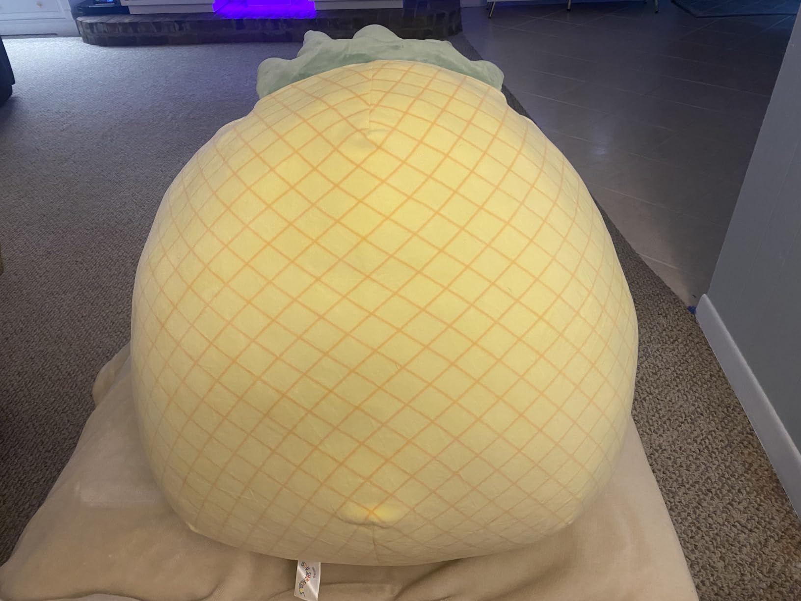 Jazwares Maui 20-Inch Pineapple customer photo 1