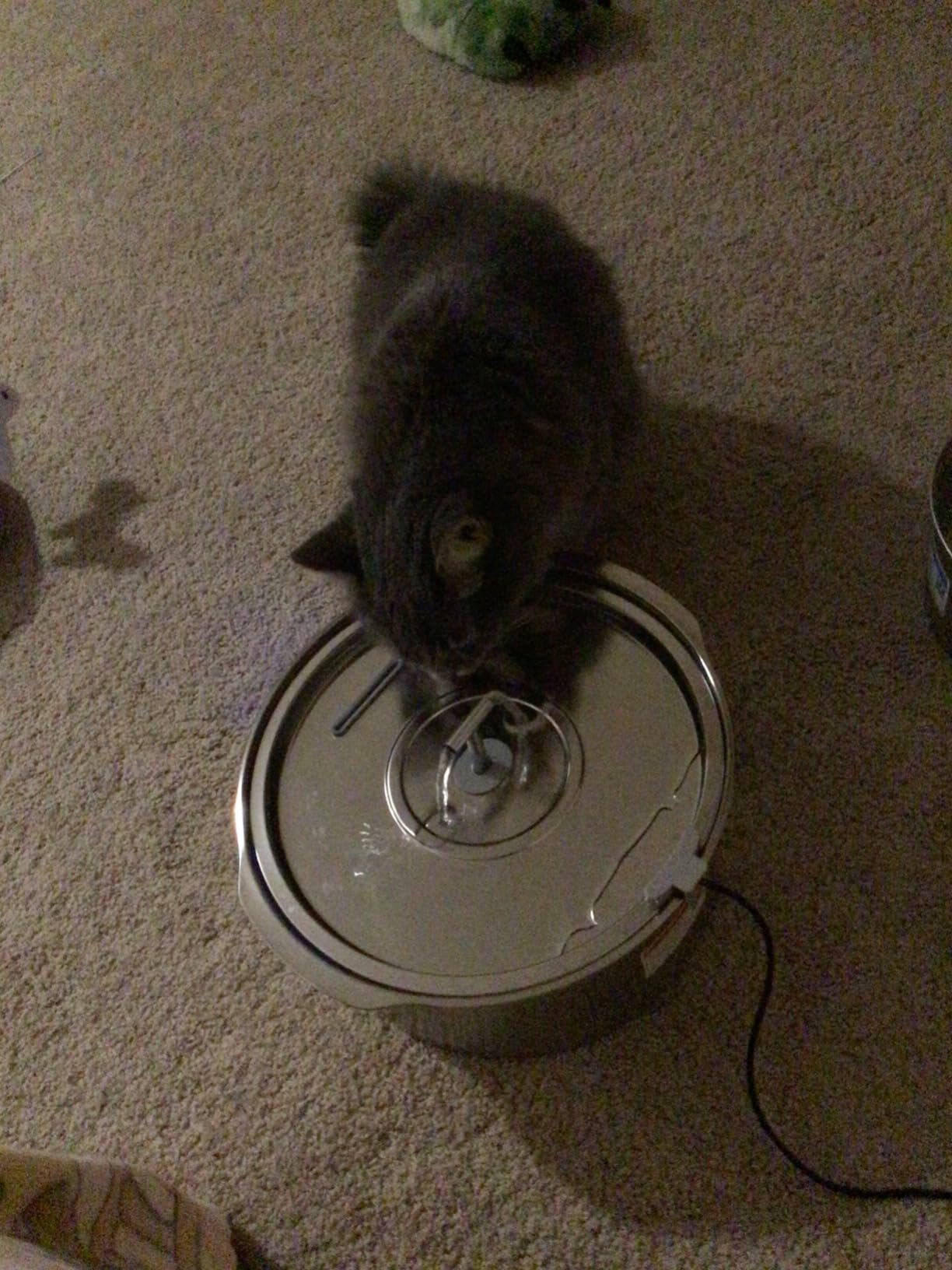 Cat Water Fountain Stainless Steel: Rellaty 3.2L/108oz Pet Water Fountain customer photo 1