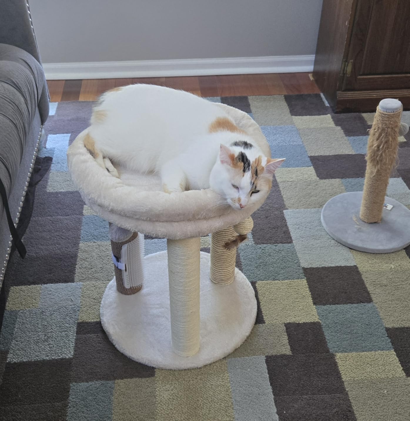 MECOOL 4in1 Small Cat Tree,Scratching Post with Tower Soft Bed, Sisal Carpet Jute Posts with Three Hanging Ball Toys and Massage Brush for Indoor Cats and Kittens customer photo 1