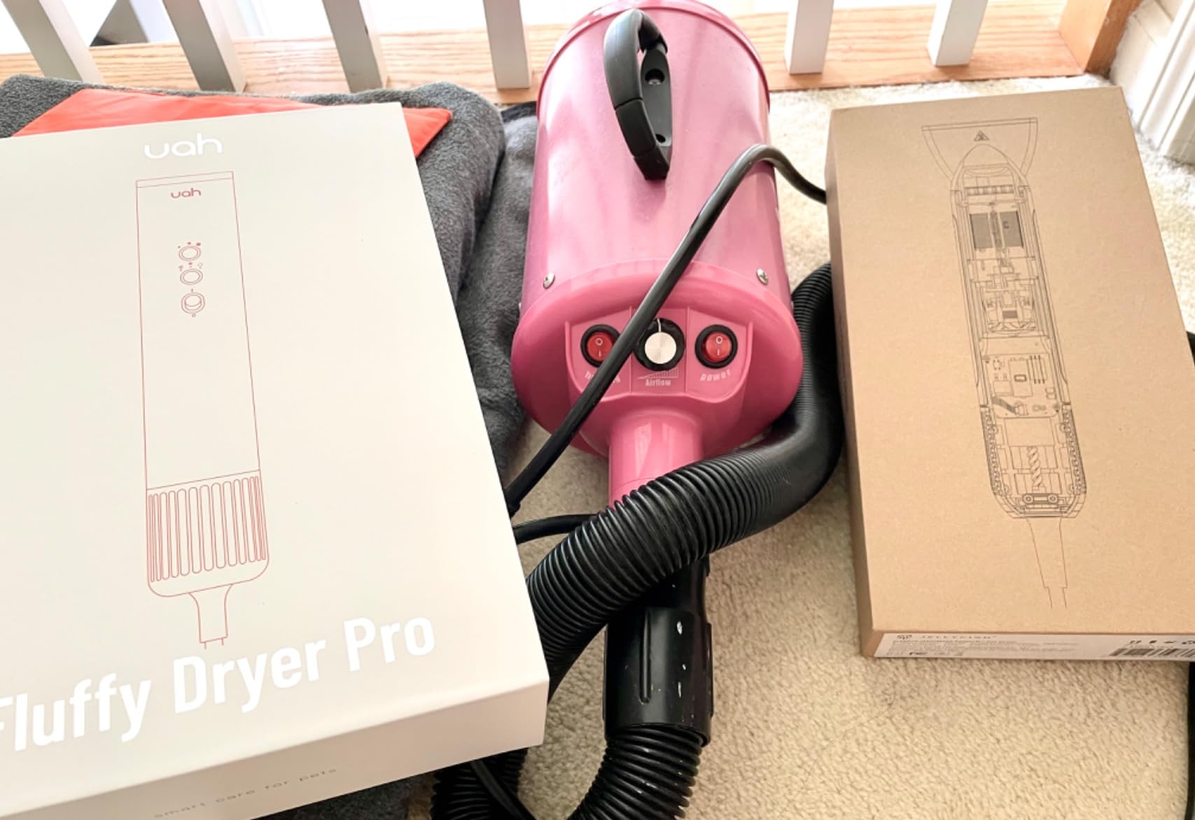 Jellyfish Handheld Dog Dryer - 1.21lb Lightweight, 2 Speeds, 4 Temp, Portable High Velocity Blow Dryer for Travel & Home customer photo 2