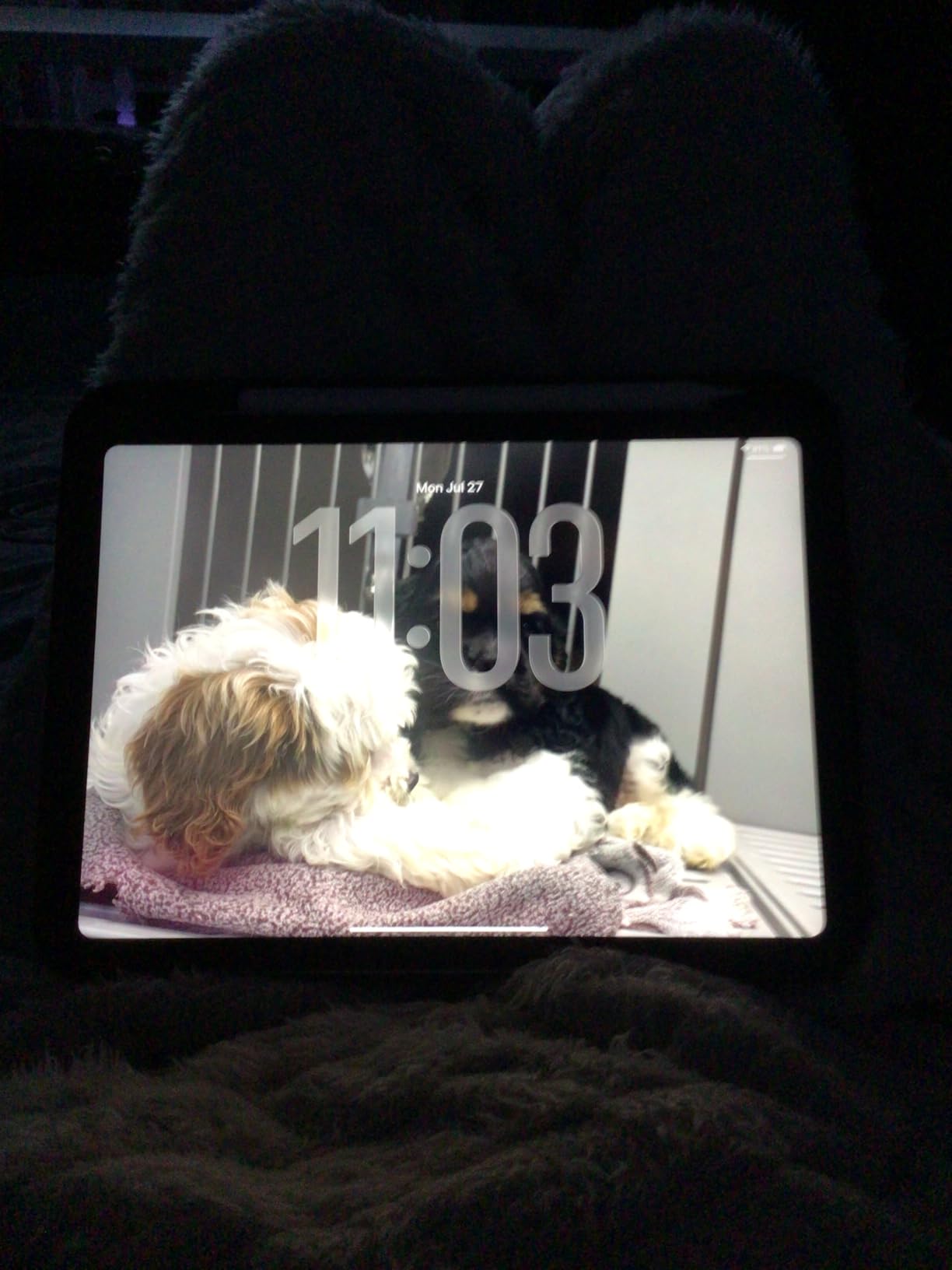 Apple iPad 10.9-inch Renewed customer photo 1