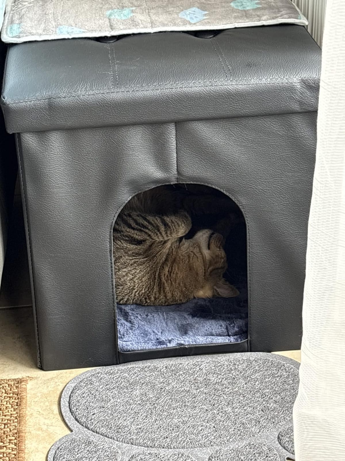 MEEXPAWS Cat Litter Box Enclosure Furniture Odor Control, Large customer photo 2