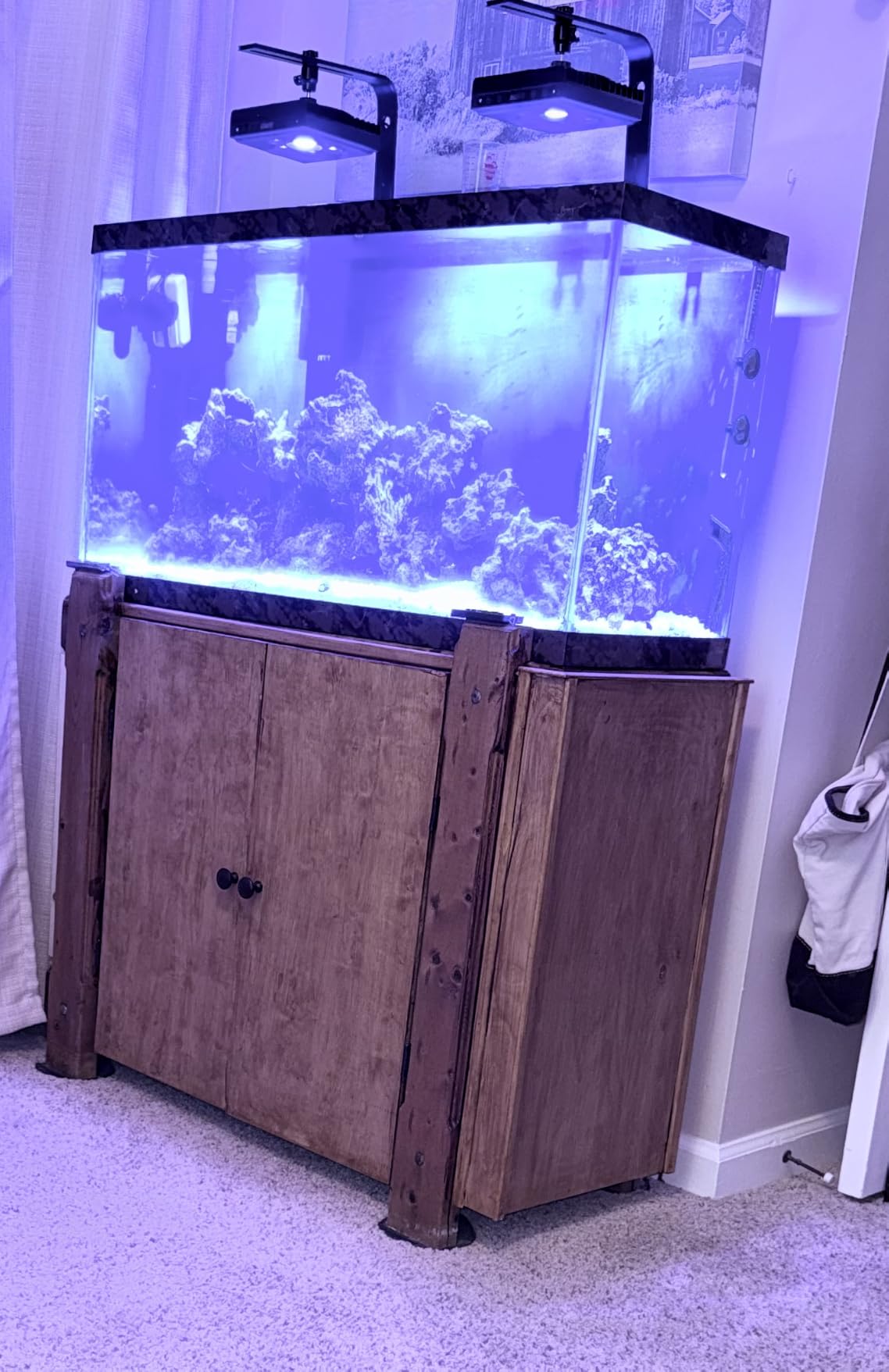 60W LED Reef Light for Saltwater Aquariums Programmable Control customer photo 1