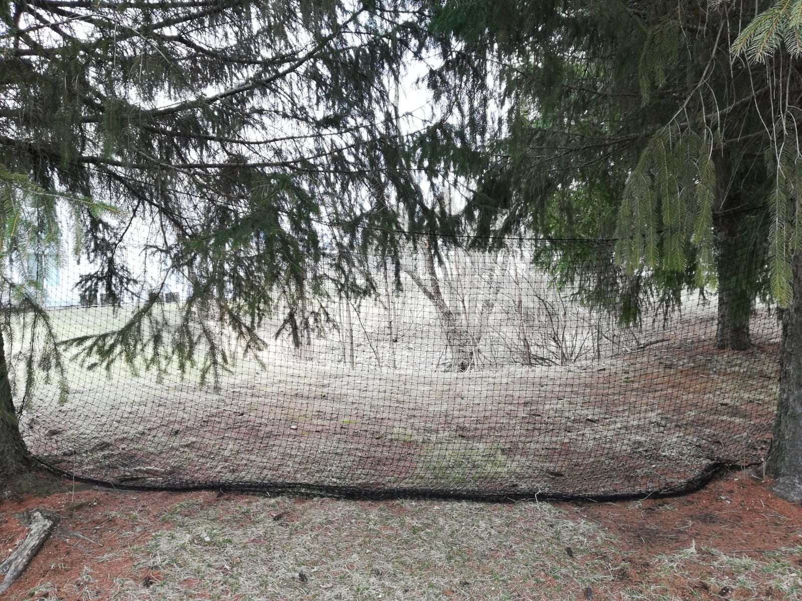 Baseball Softball Backstop Nets, Heavy Duty Sports Netting Barrier #18 Nylon Baseball Netting 10'x20'/10'x30'(Net Only) customer photo 2
